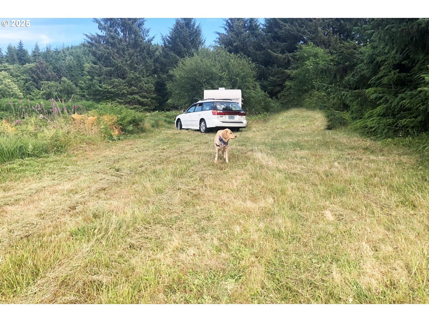 South Valley LN UNIT 5, Naselle, WA, 98638