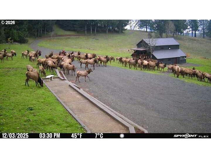 11890 SW Dupee Valley RD UNIT 1, Mc Minnville, OR, 97128