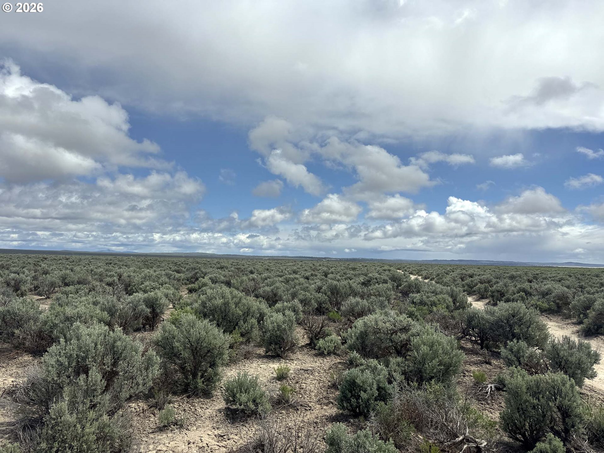 Search Homes for Sale