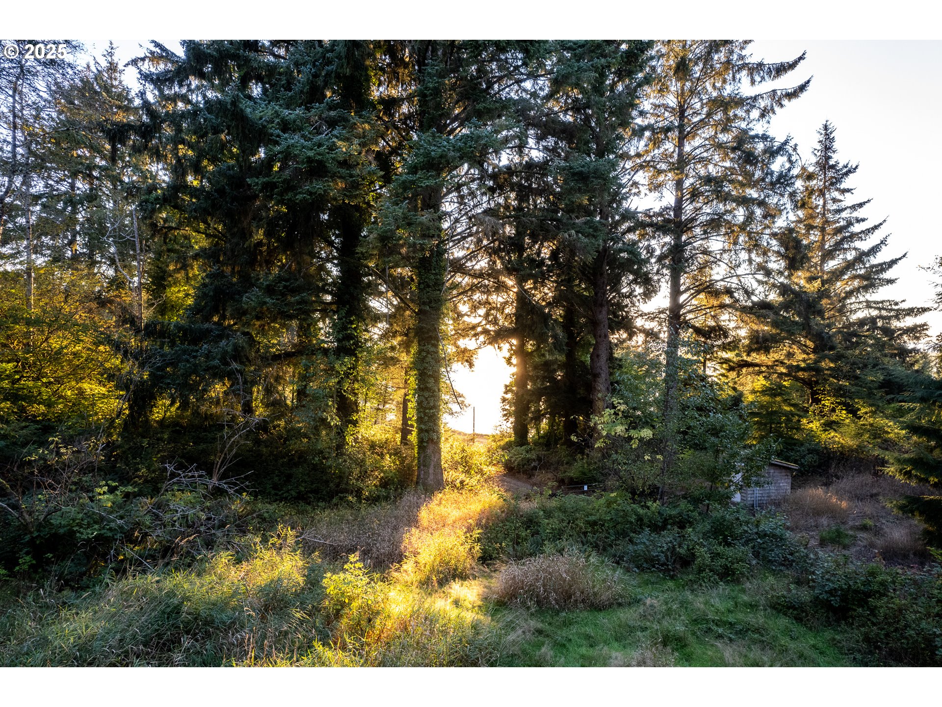 TL 00101 Kenton AVE, Rockaway Beach, OR, 97136