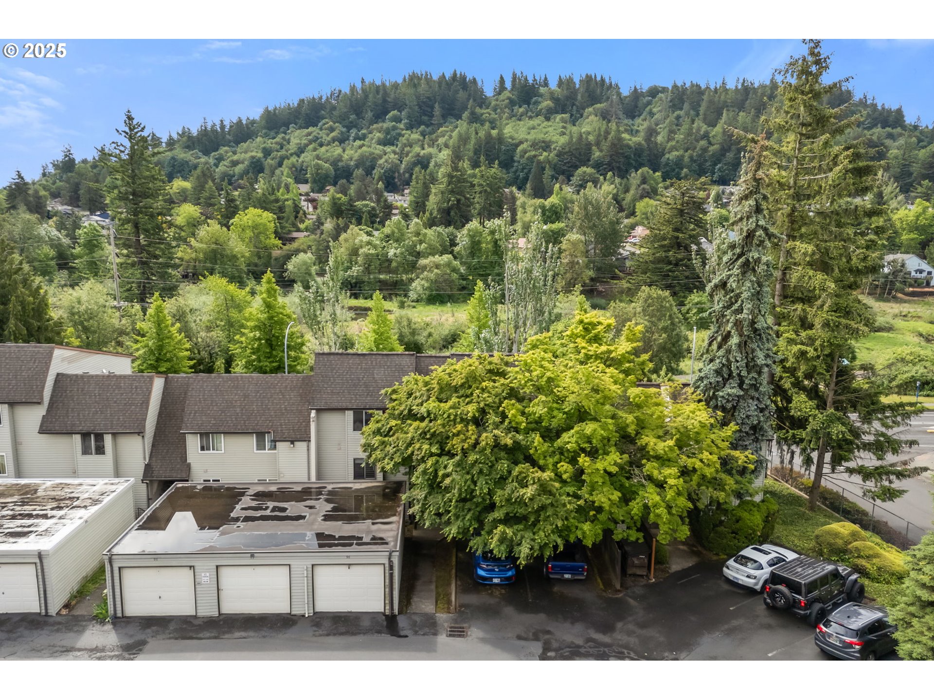Primary Photo for MLS#: 736993705