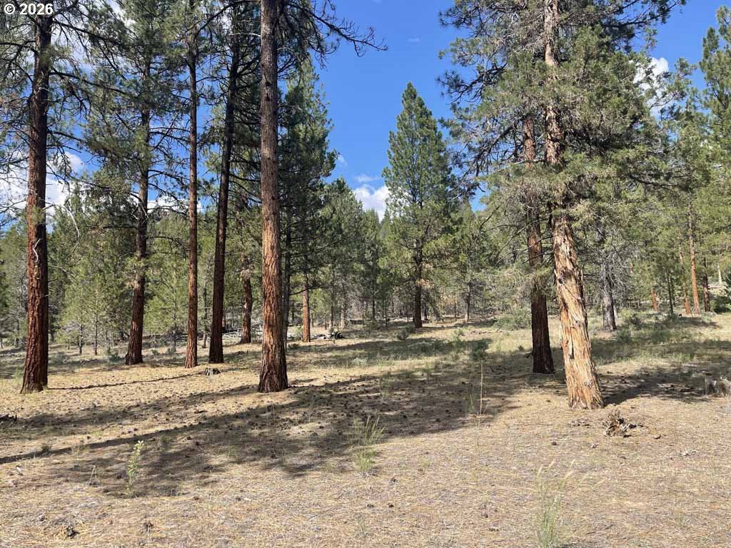 Search Homes for Sale