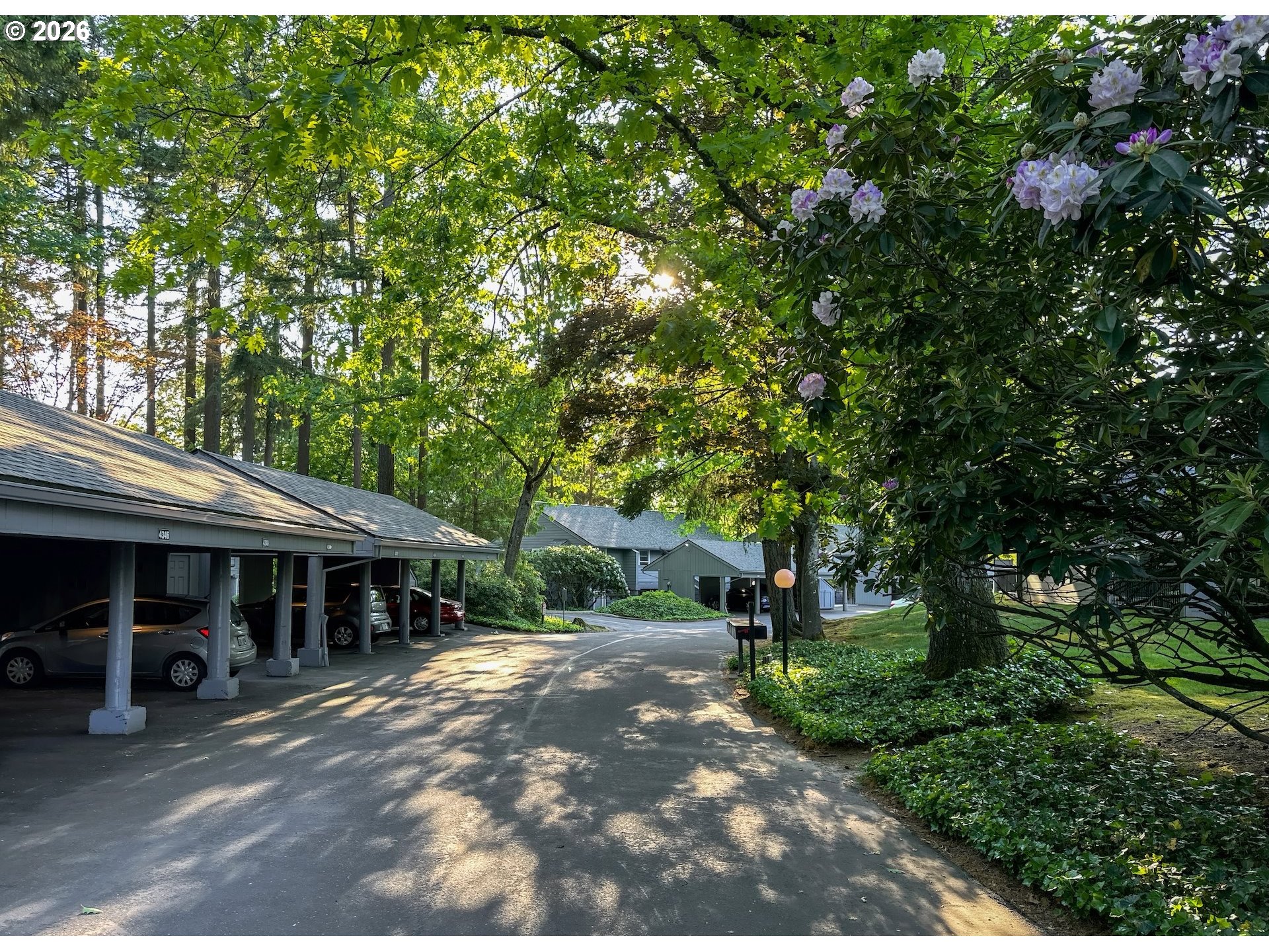 Photo #45: 737162557 Listing: Photo #45