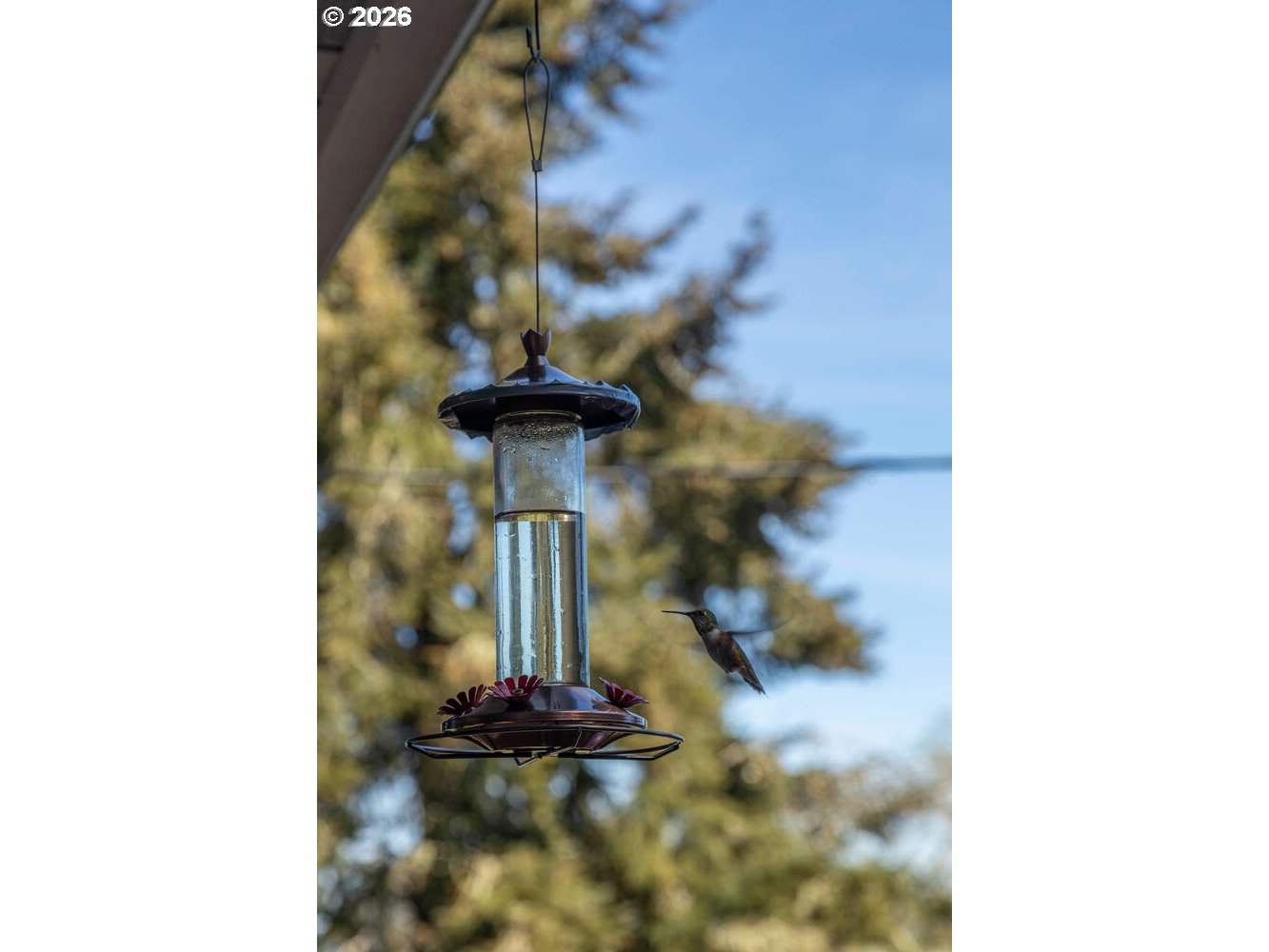 5491 SE TELEGRAPH RD, Amity, OR, 97101