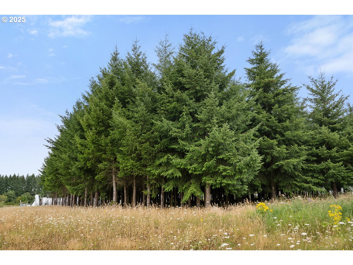 40801/40809 SE TRUBEL RD, Sandy, OR, 97055