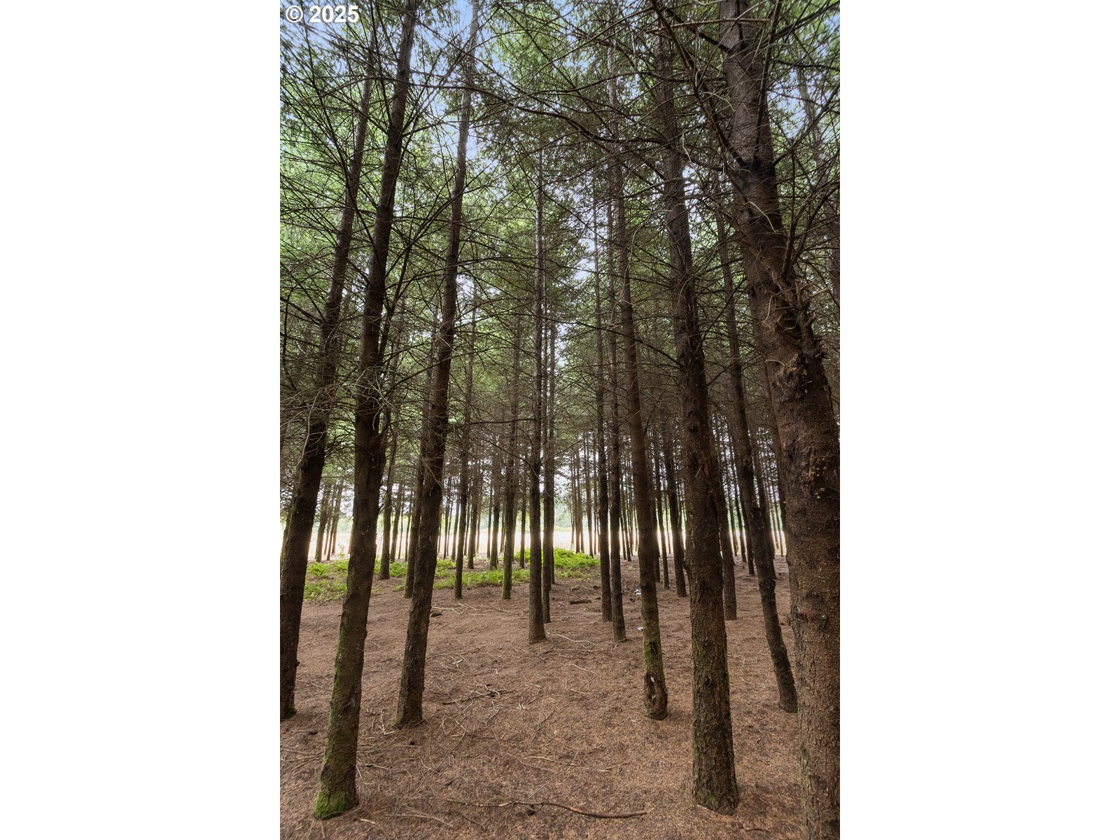 40801/40809 SE TRUBEL RD, Sandy, OR, 97055