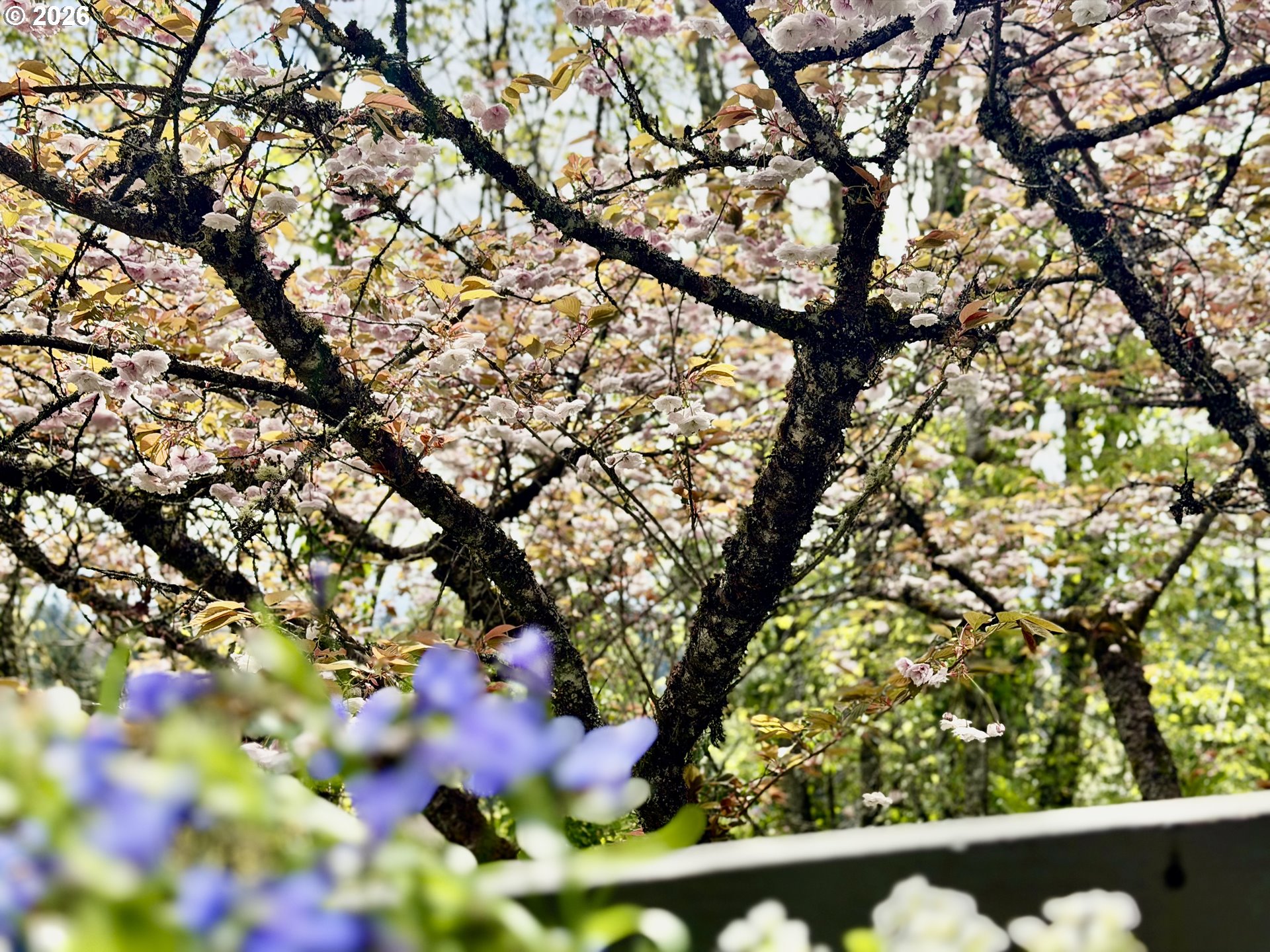 Photo #23: 741772925 Listing: Photo #23