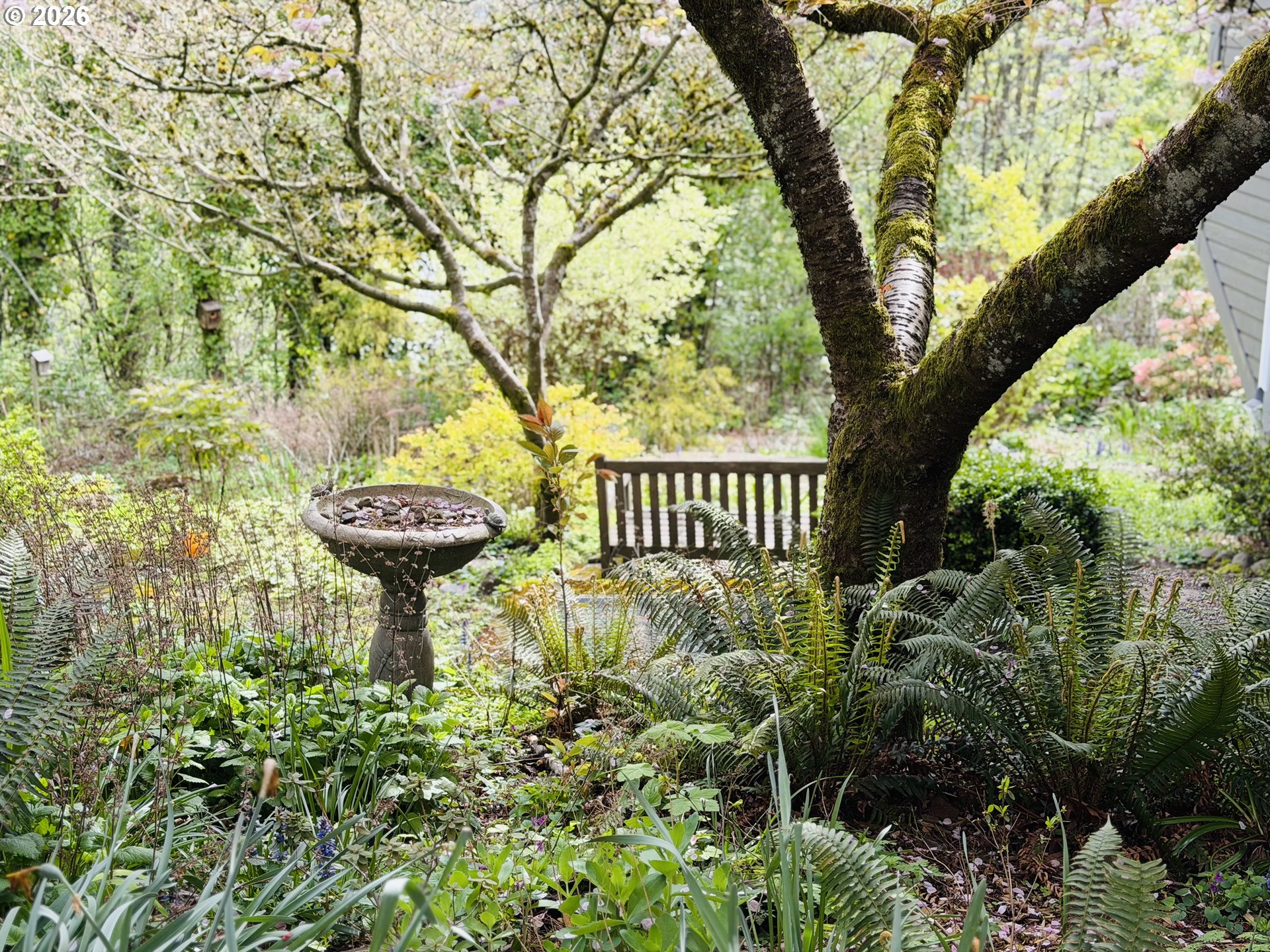 Photo #26: 741772925 Listing: Photo #26