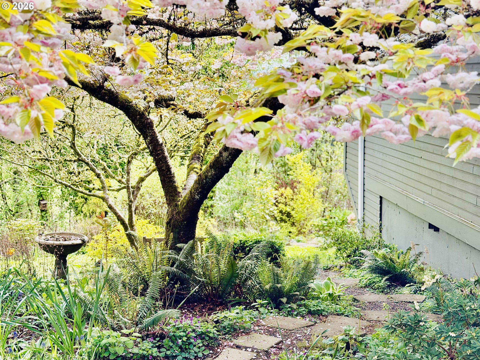 Photo #27: 741772925 Listing: Photo #27