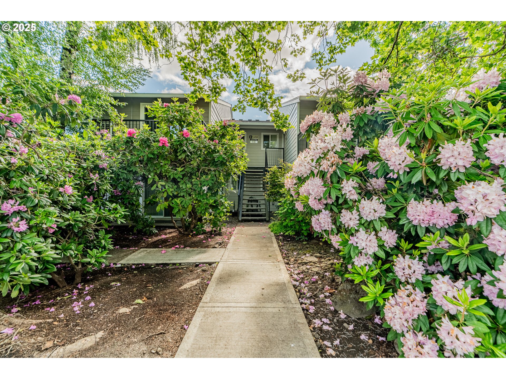 Primary Photo for MLS#: 746592126