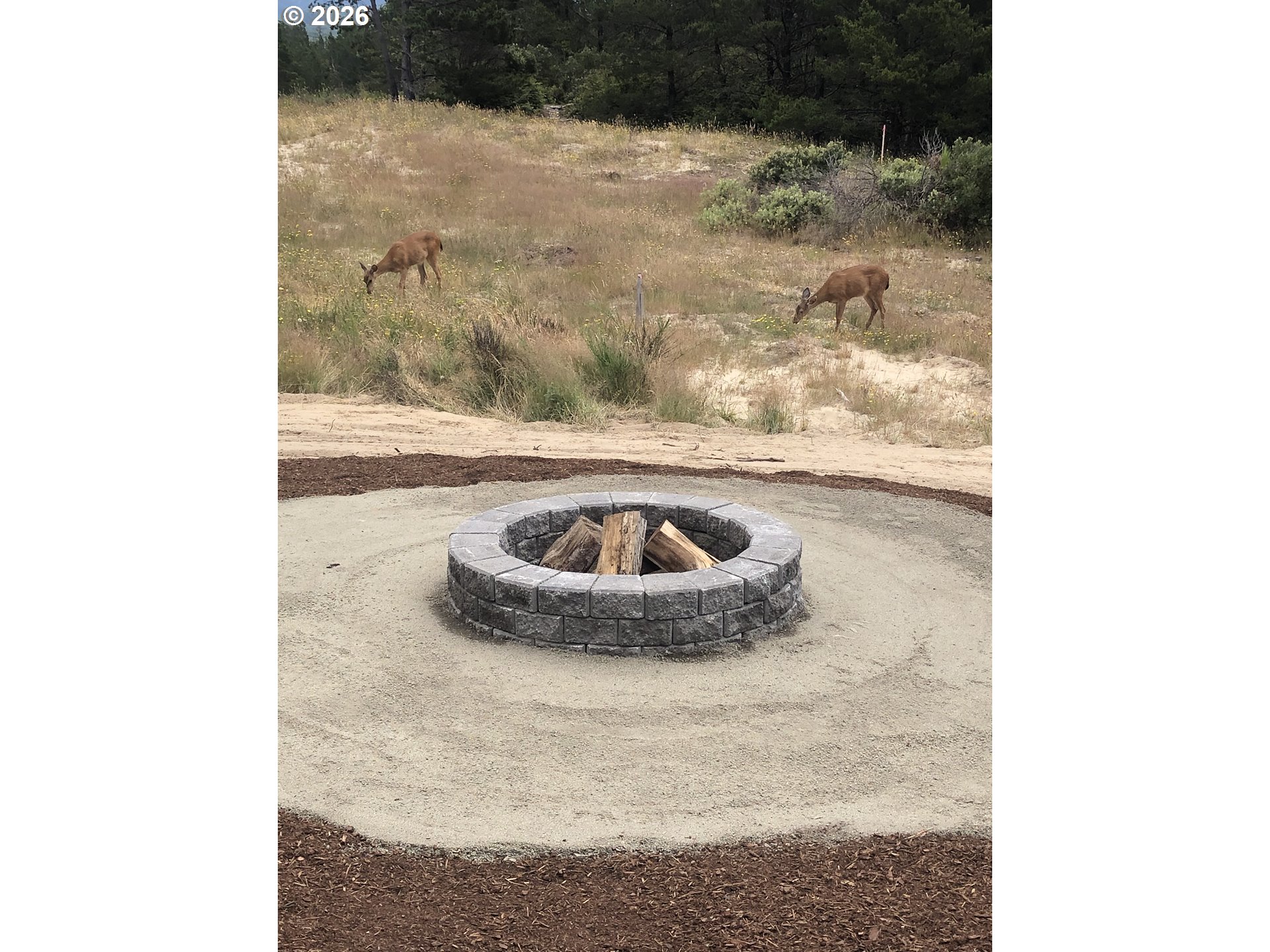 466 MEADOWS DR, Manzanita, OR, 97130