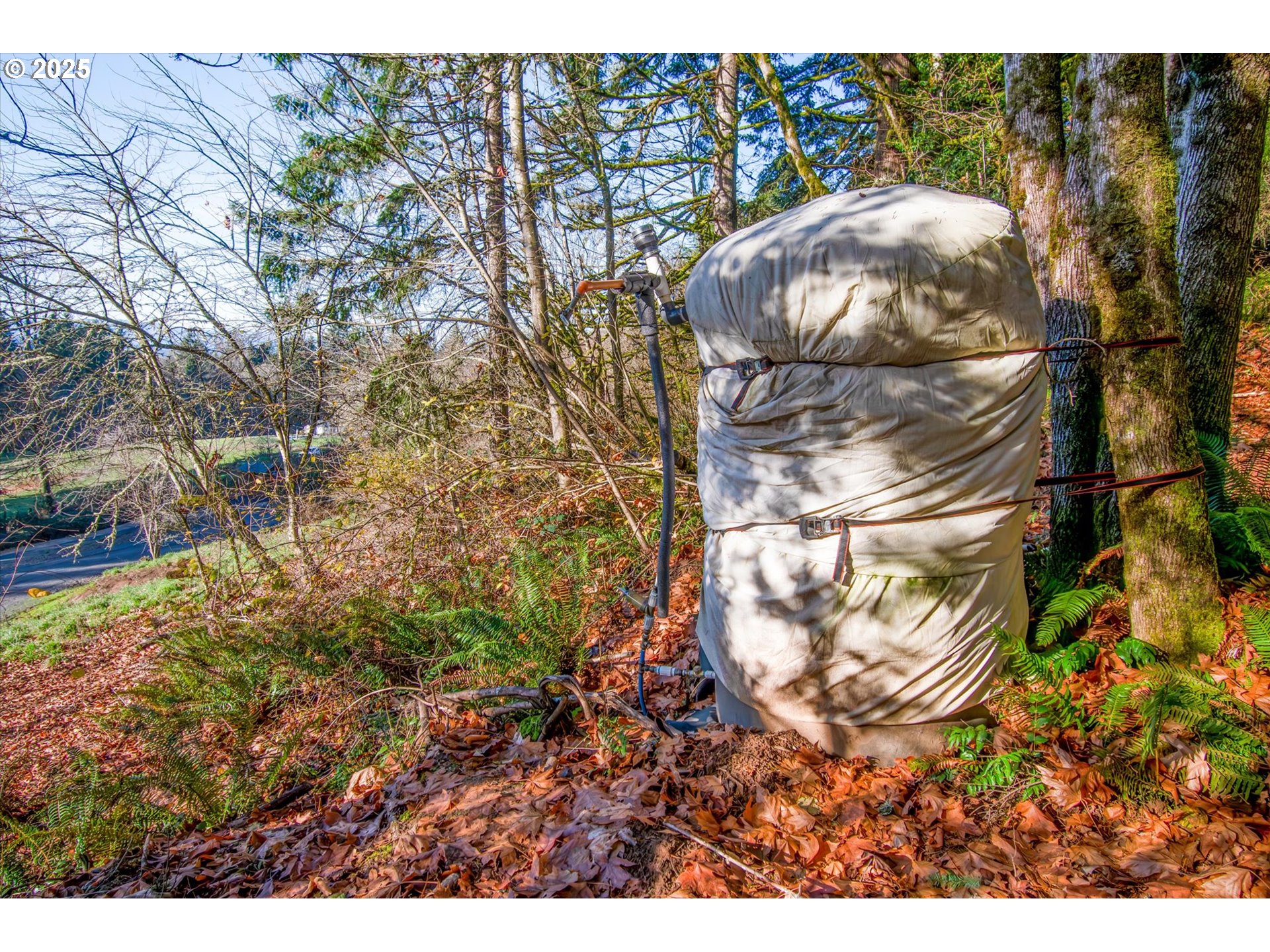 110 LENORA LN, Kelso, WA, 98626