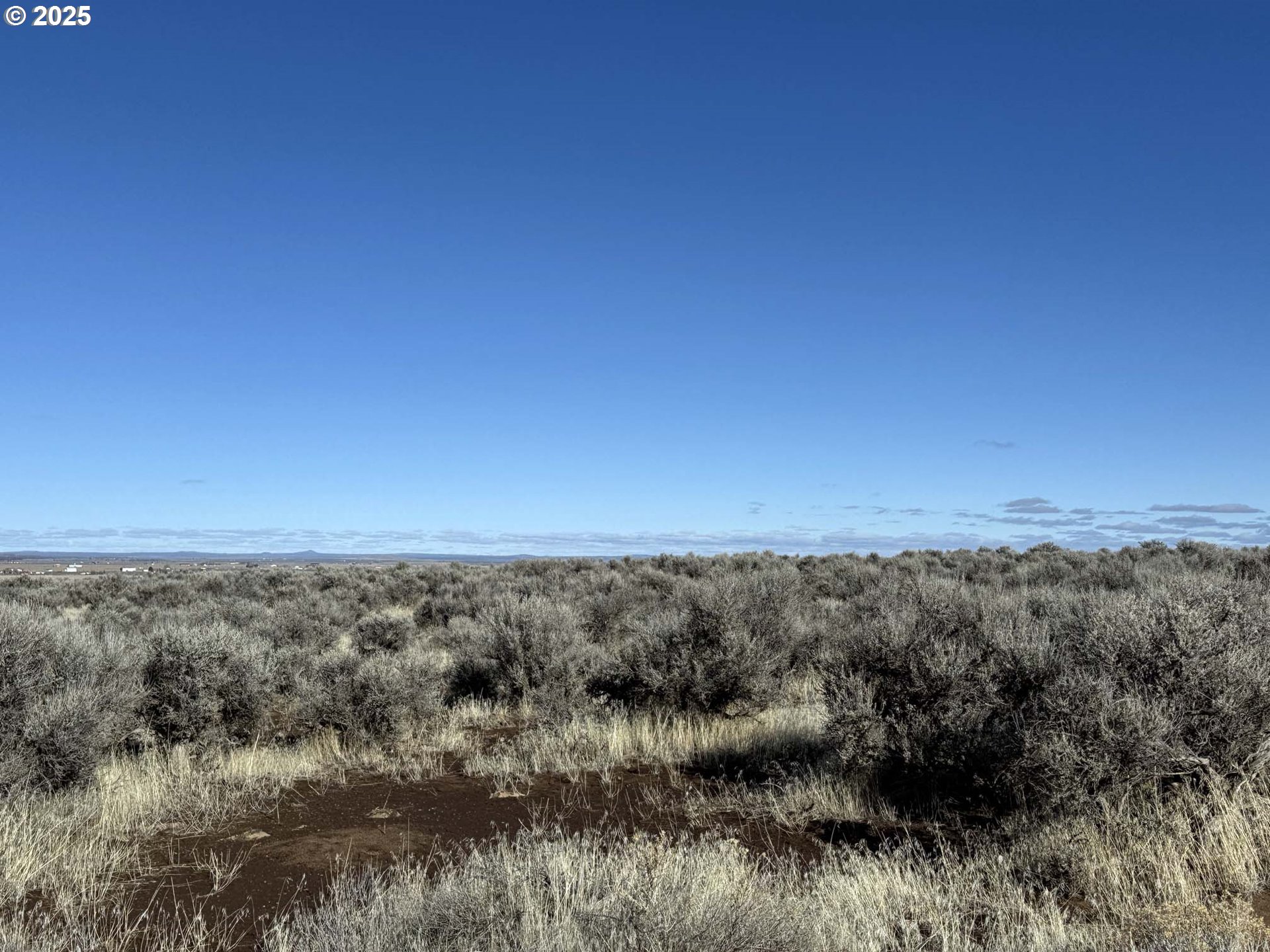 Search Homes for Sale