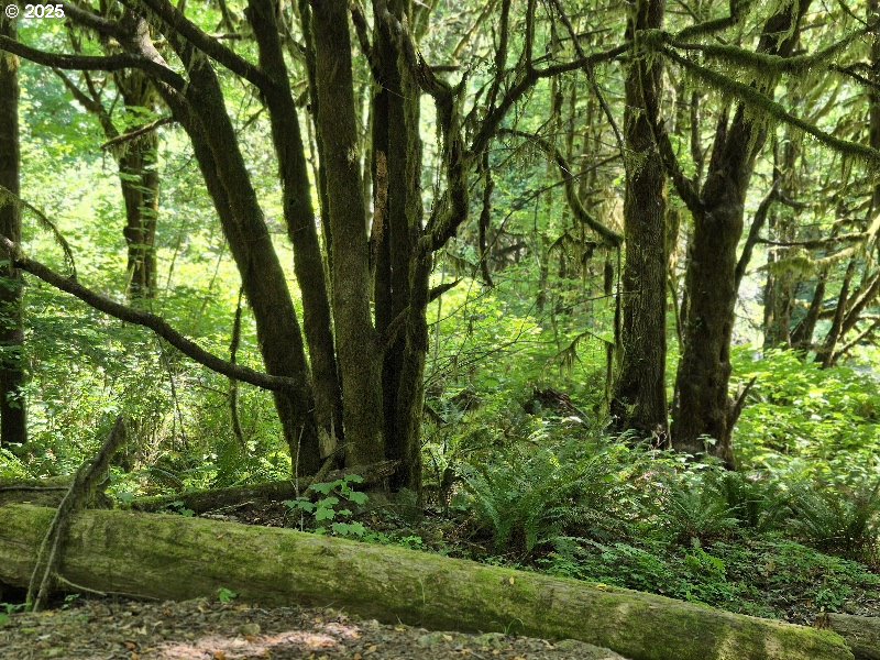 Search Homes for Sale