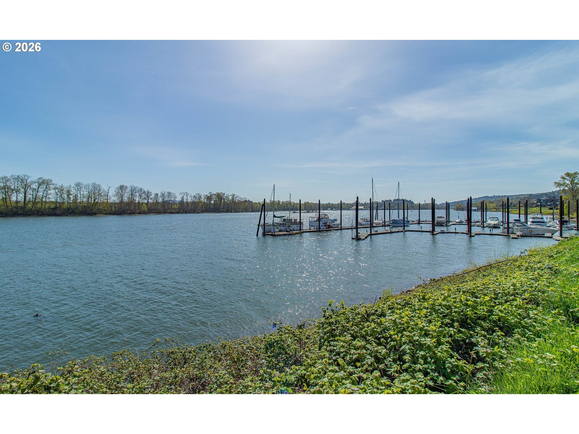 Photo #29: 754703296 Listing: Photo #29