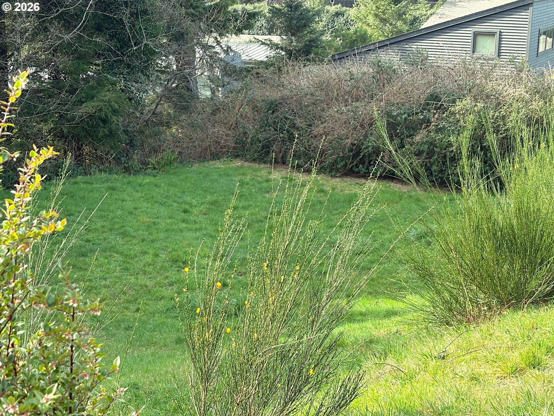 Search Homes for Sale