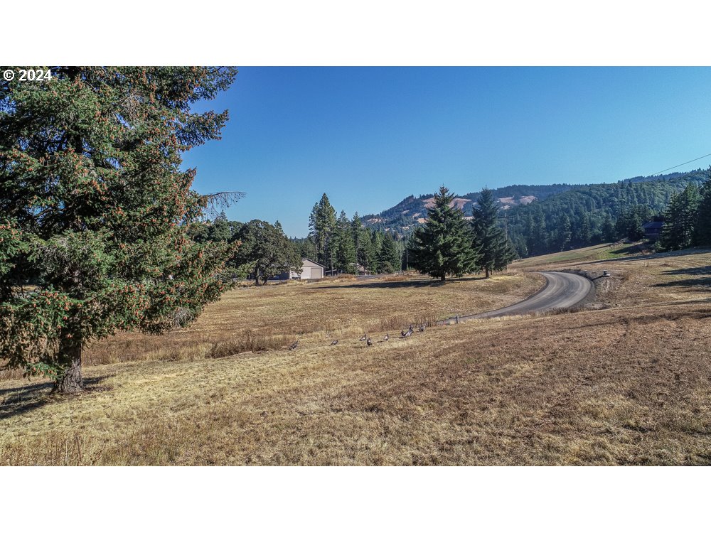 Photo of Lot 16 Husum Greens White Salmon WA 98672