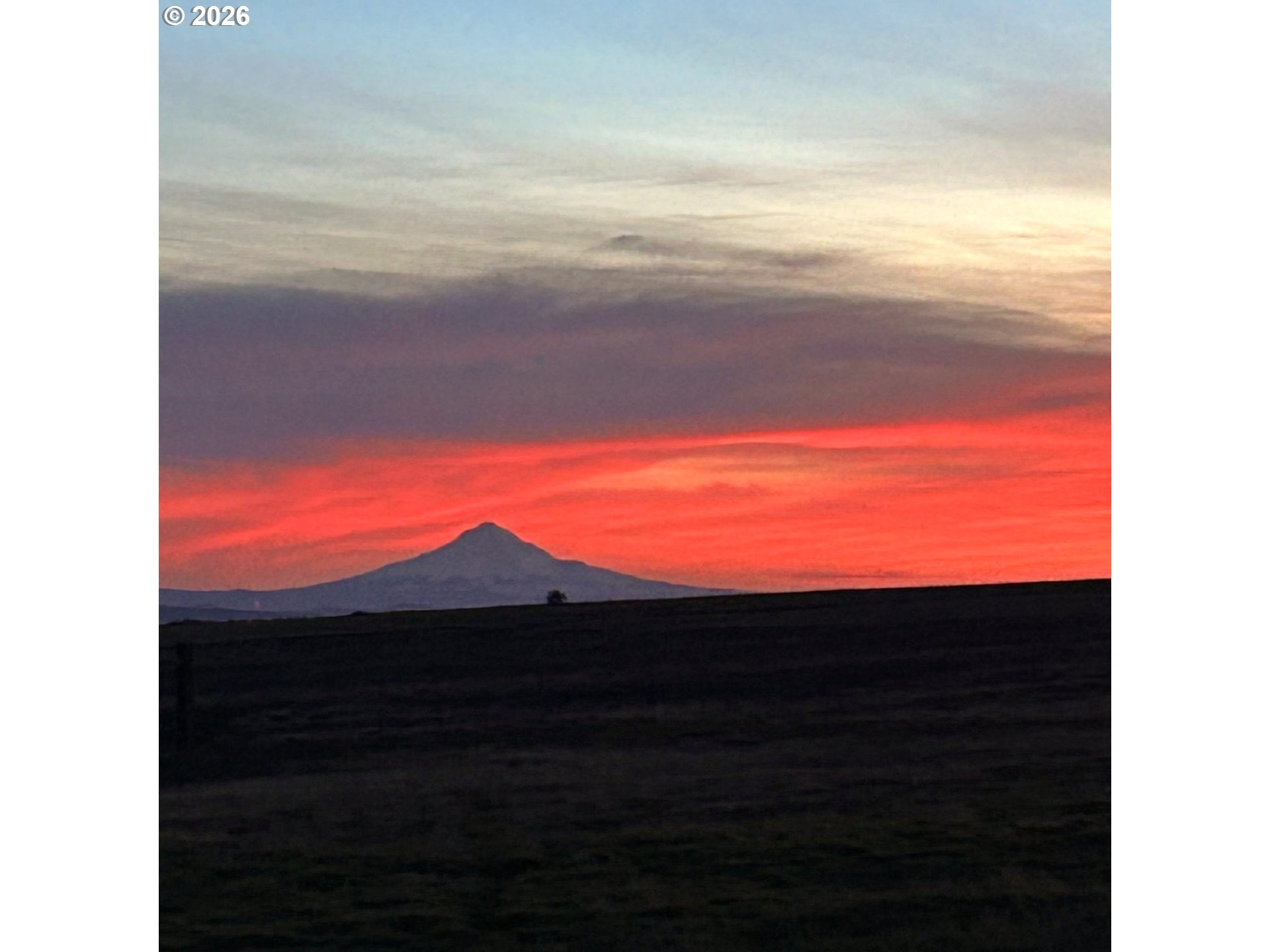 Search Homes for Sale