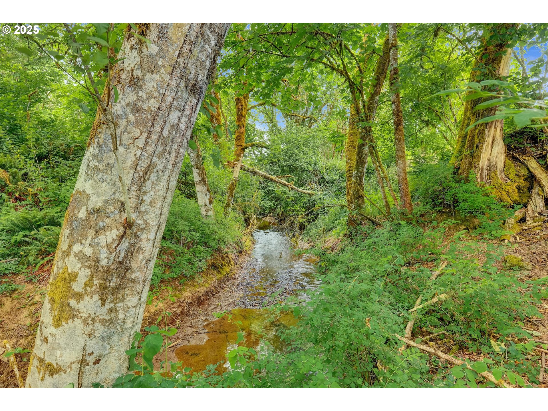 47266 SW CARPENTER CREEK RD, Forest Grove, OR, 97116