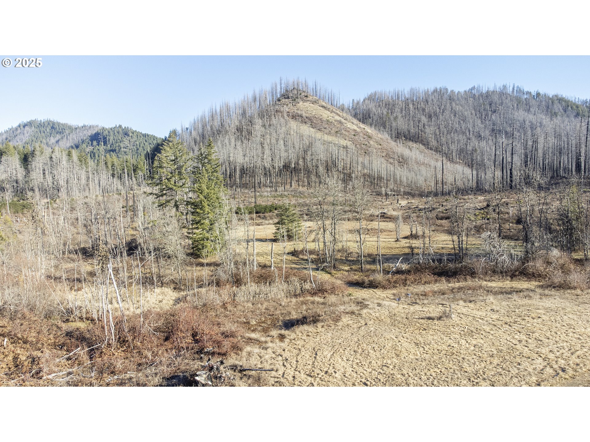 91747 BLUE RIVER RESERVOIR RD, Blue River, OR, 97413