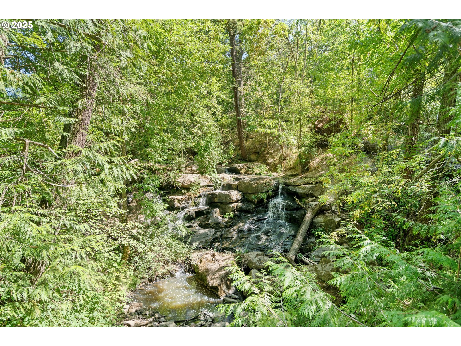 Photo #36: 769470721 Listing: Photo #36