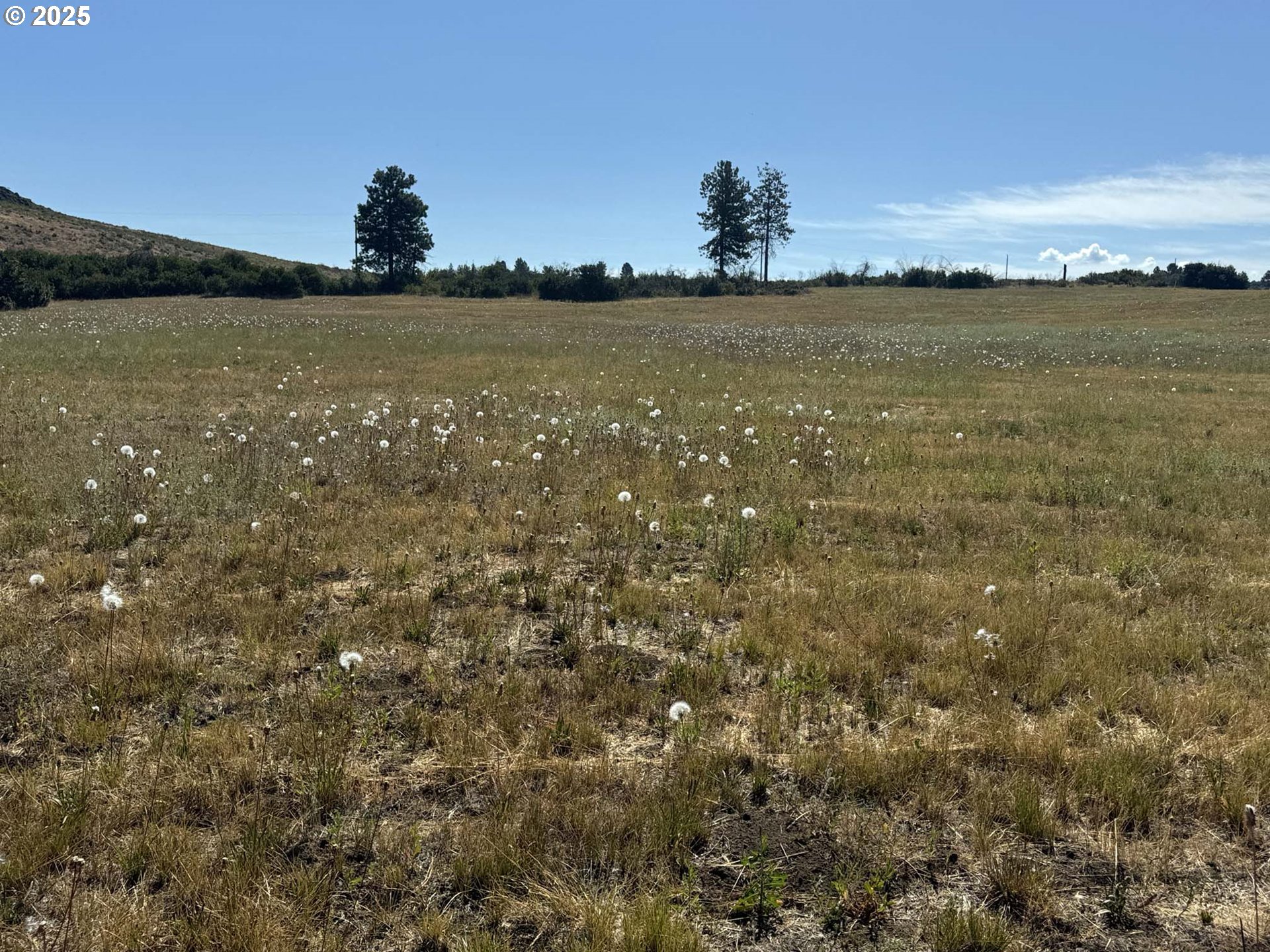 Search Homes for Sale