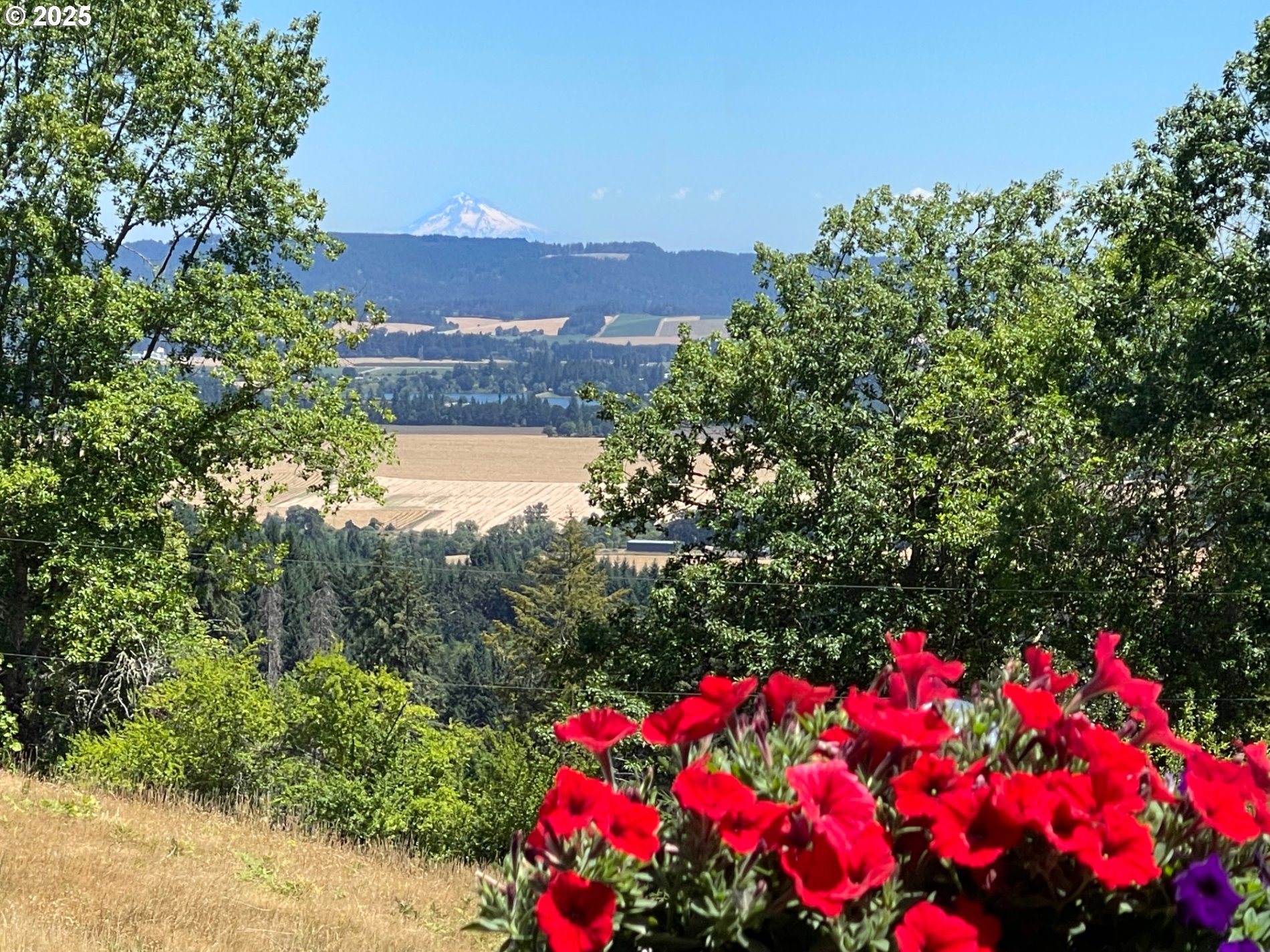 13900 NW FIR CREST RD, Mc Minnville, OR, 97128