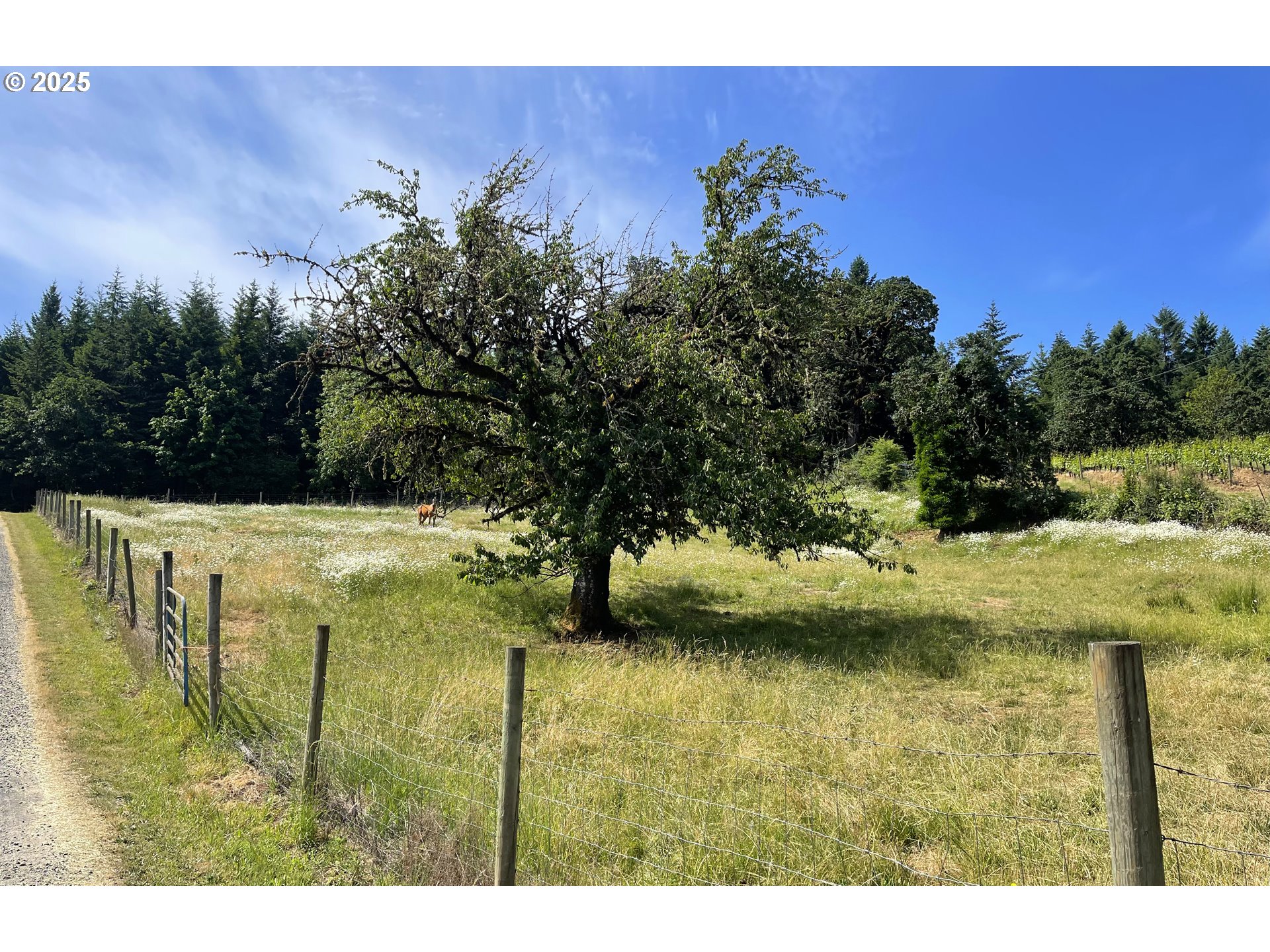 13900 NW FIR CREST RD, Mc Minnville, OR, 97128