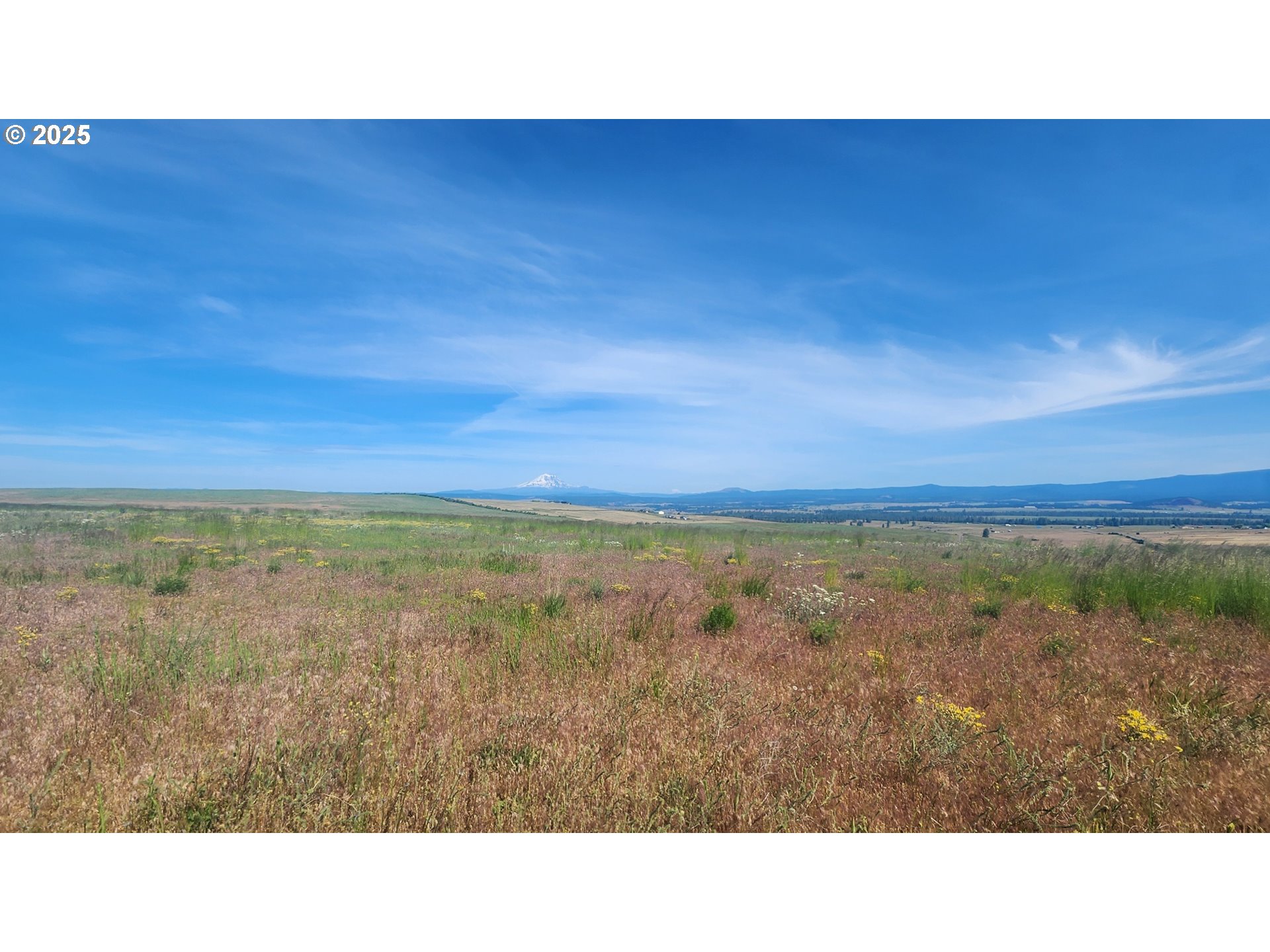 Search Homes for Sale