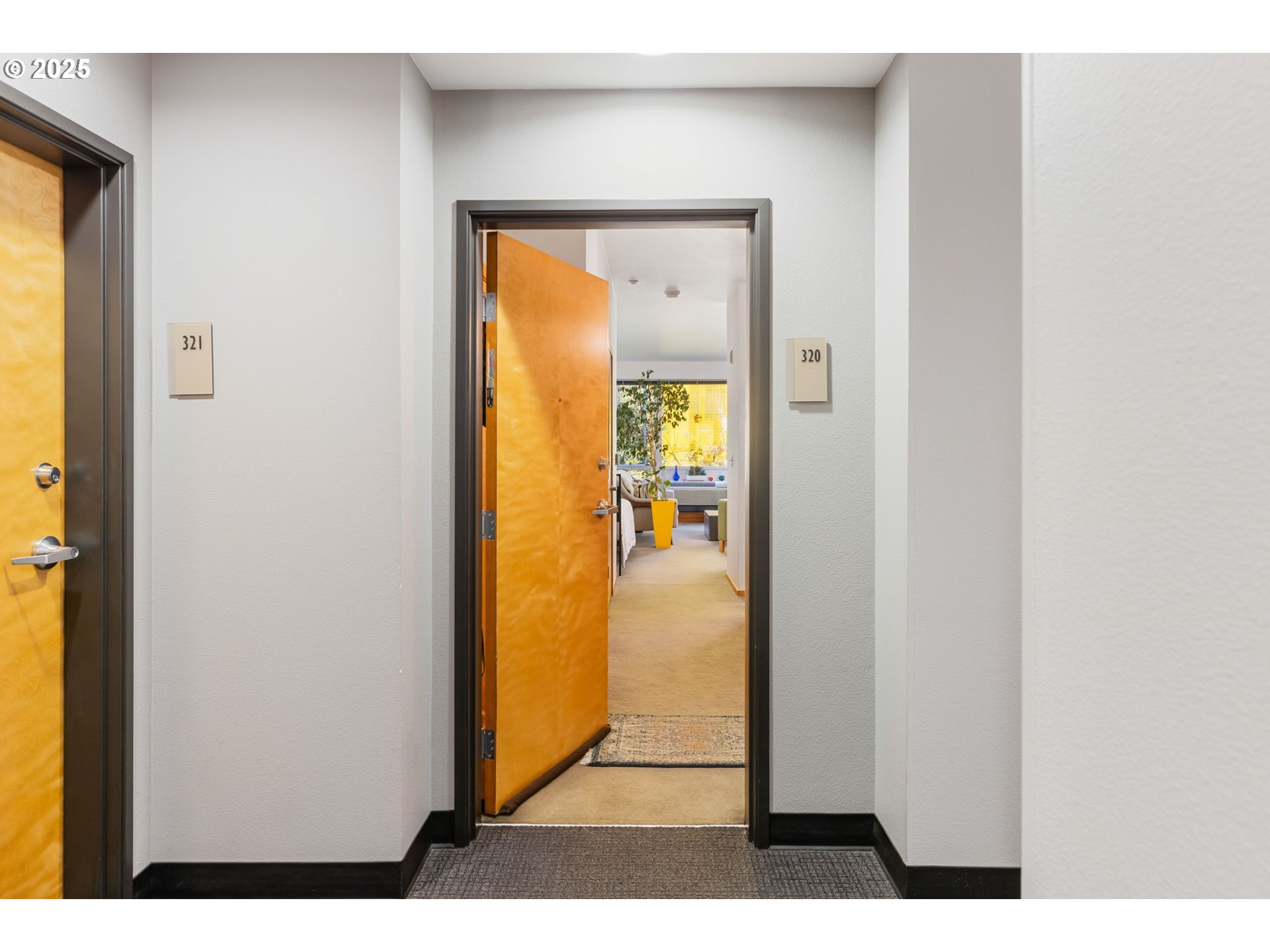 Photo #4: 771308024 Listing 