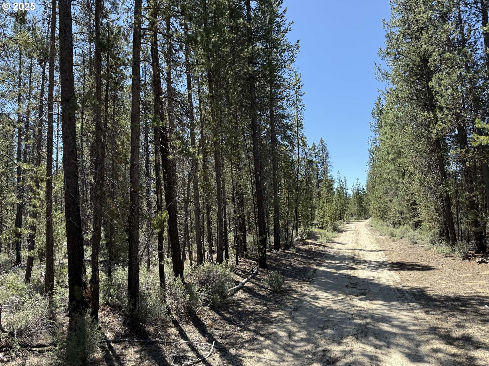 35730 SE 20 Hwy, Albany, OR, 97322