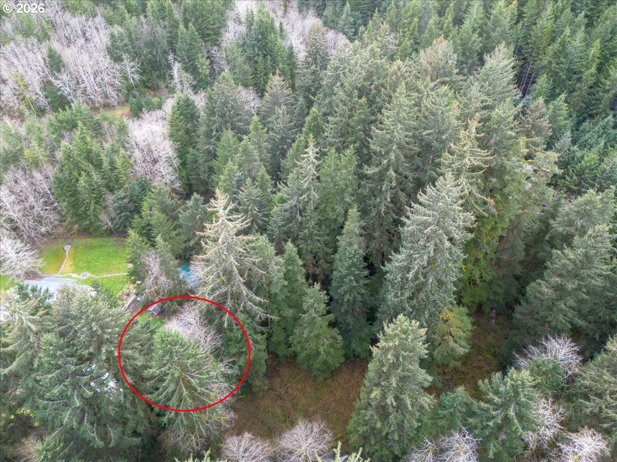 10840 TILLICUM LOOP, Neskowin, OR, 97149