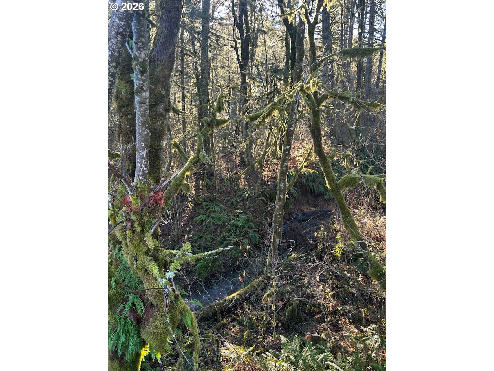 Search Homes for Sale