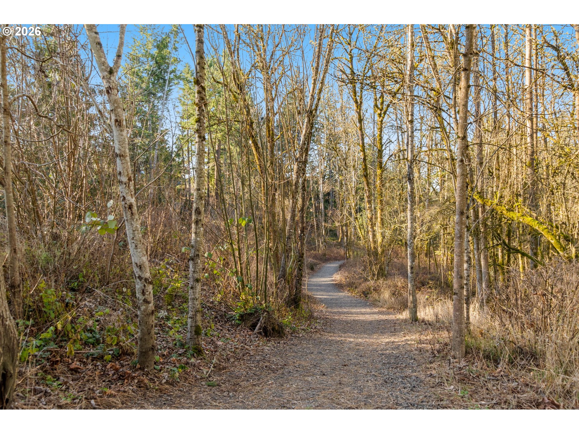 Photo #29: 776764686 Listing: Photo #29