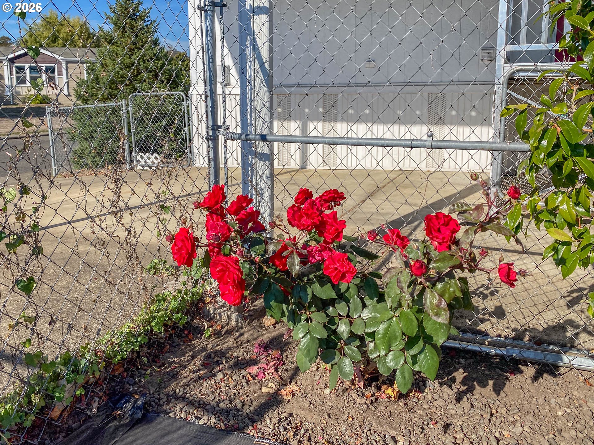 173 NW BROC DR, Winston, OR 97496