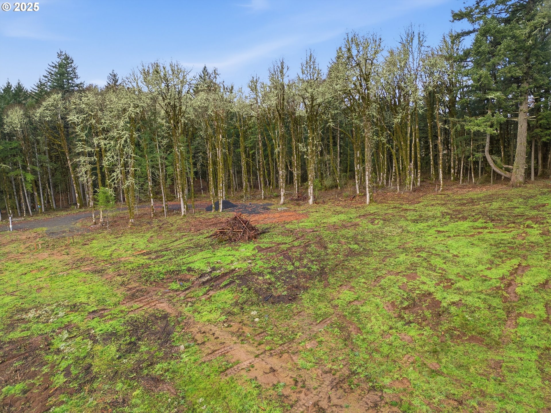 Homes on Acreage