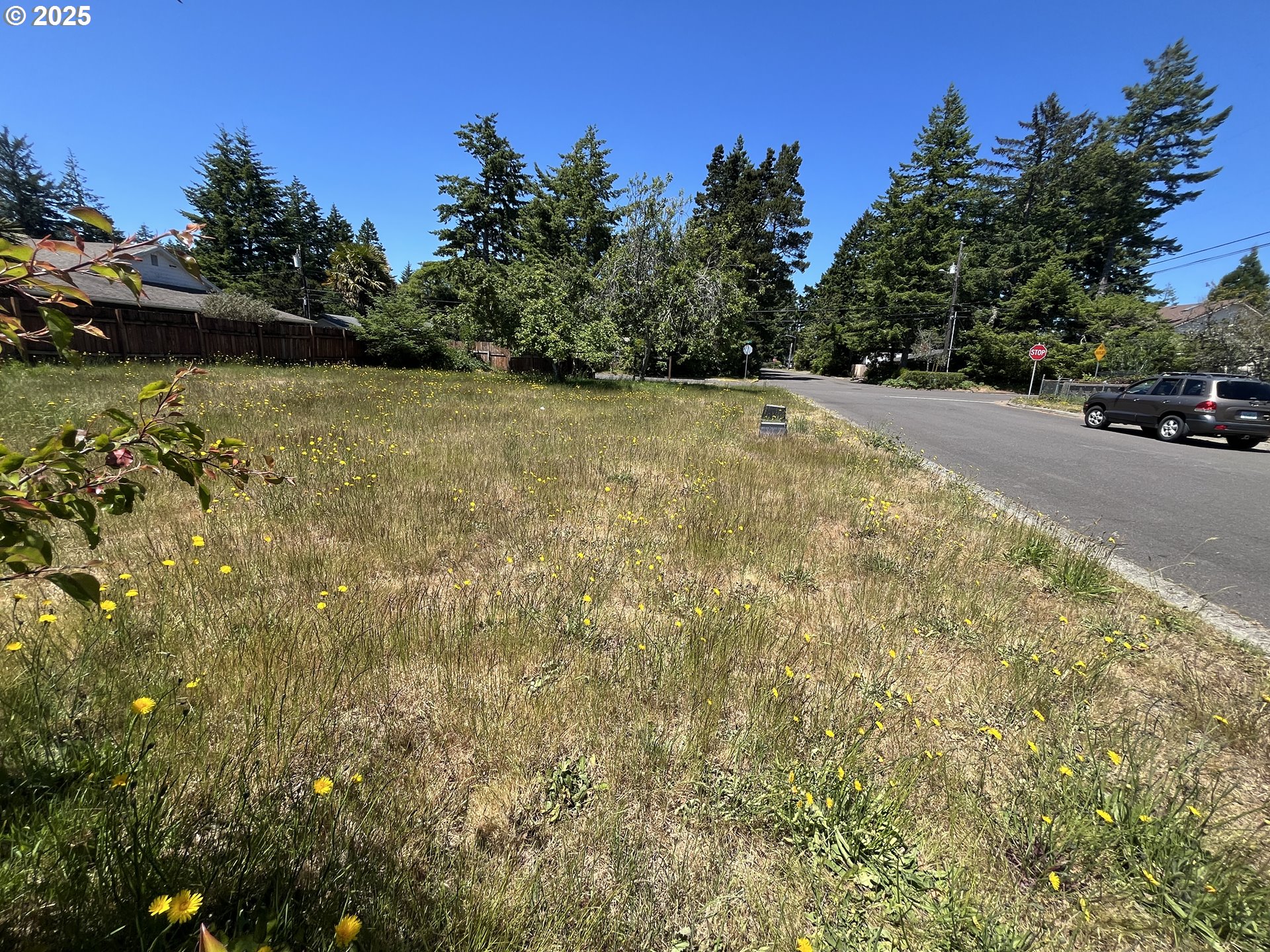 Tamarack, Florence, OR, 97439