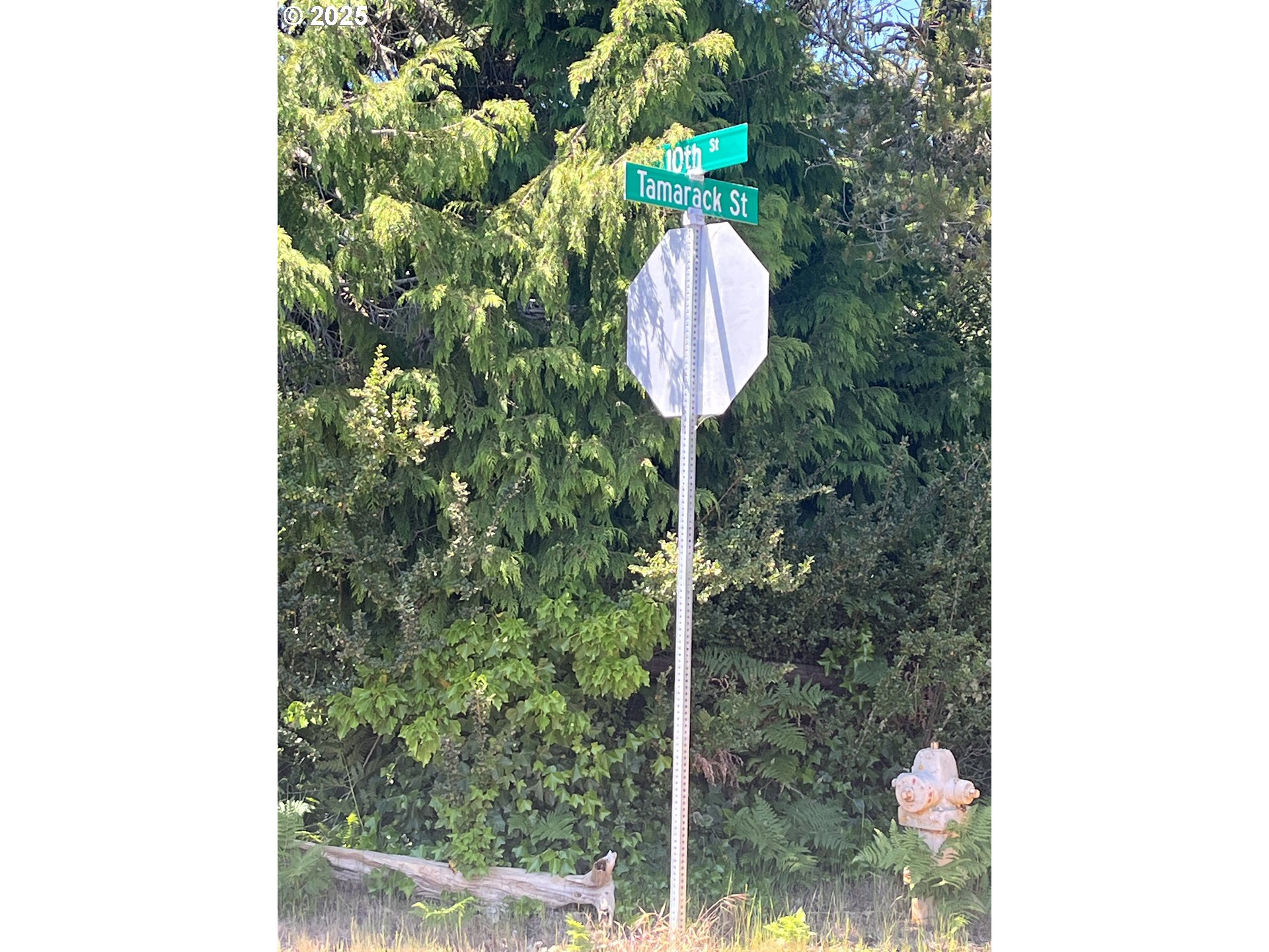 Tamarack, Florence, OR, 97439