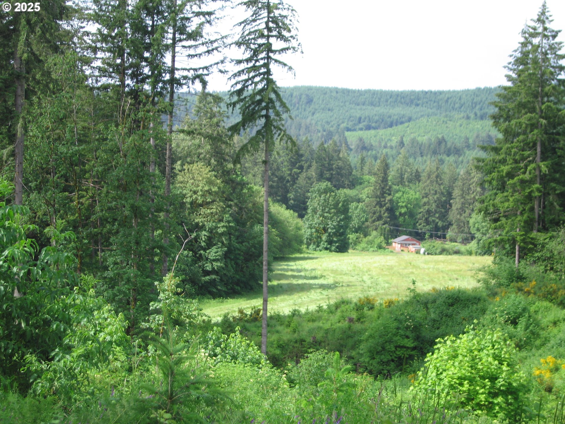 0 NW Dairy Creek RD, North Plains, OR, 97133