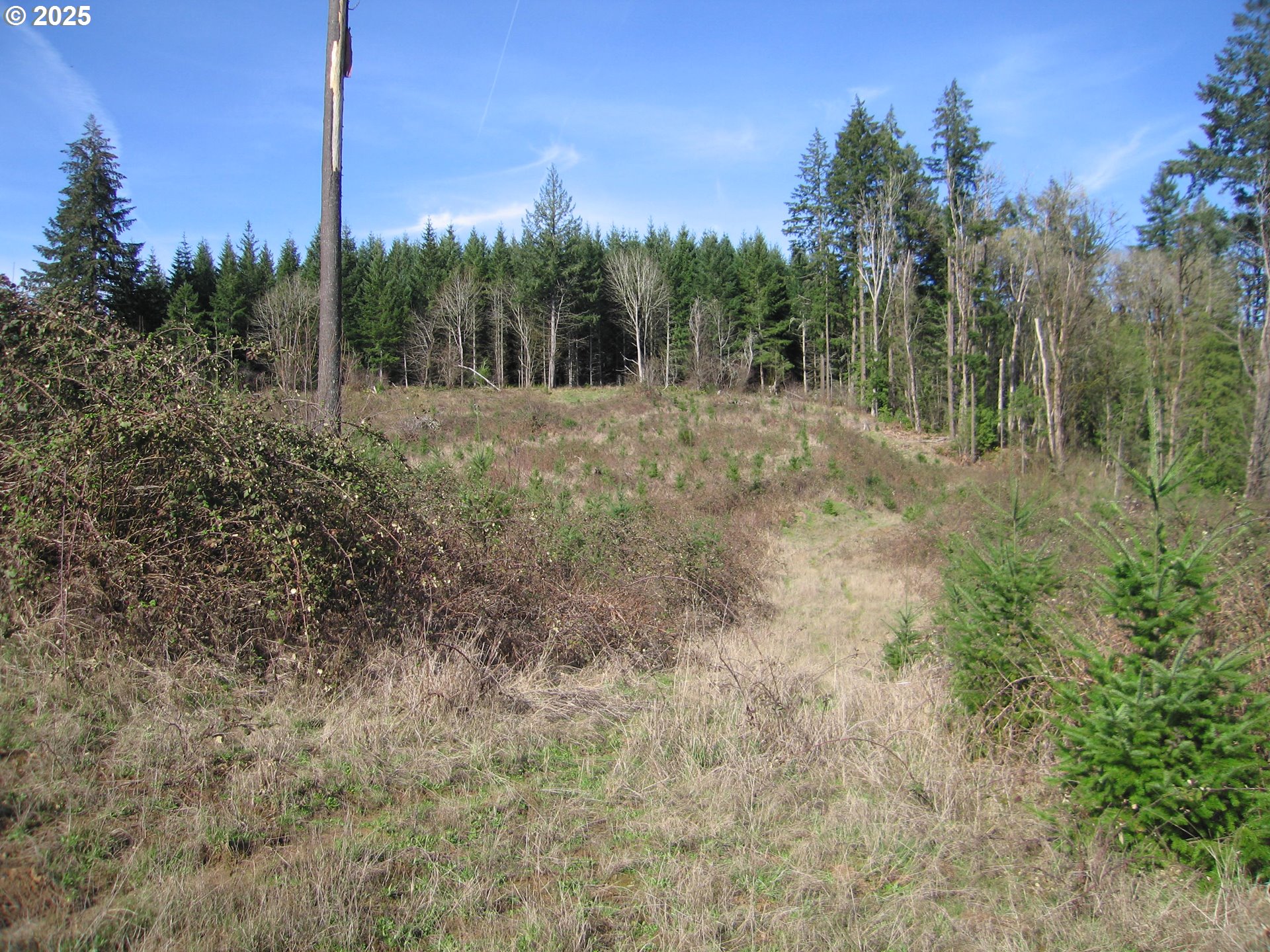 0 NW Dairy Creek RD, North Plains, OR, 97133