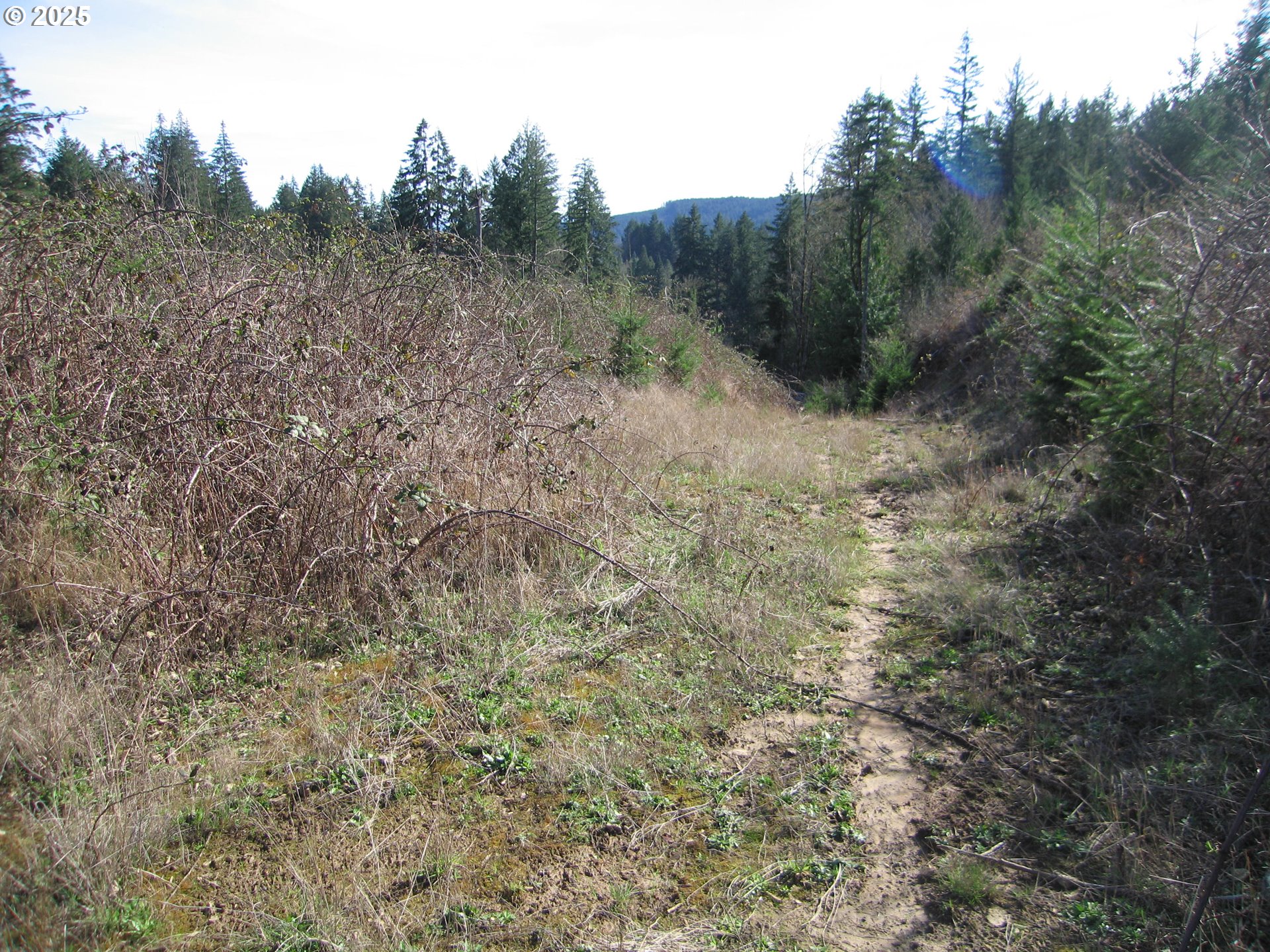 0 NW Dairy Creek RD, North Plains, OR, 97133