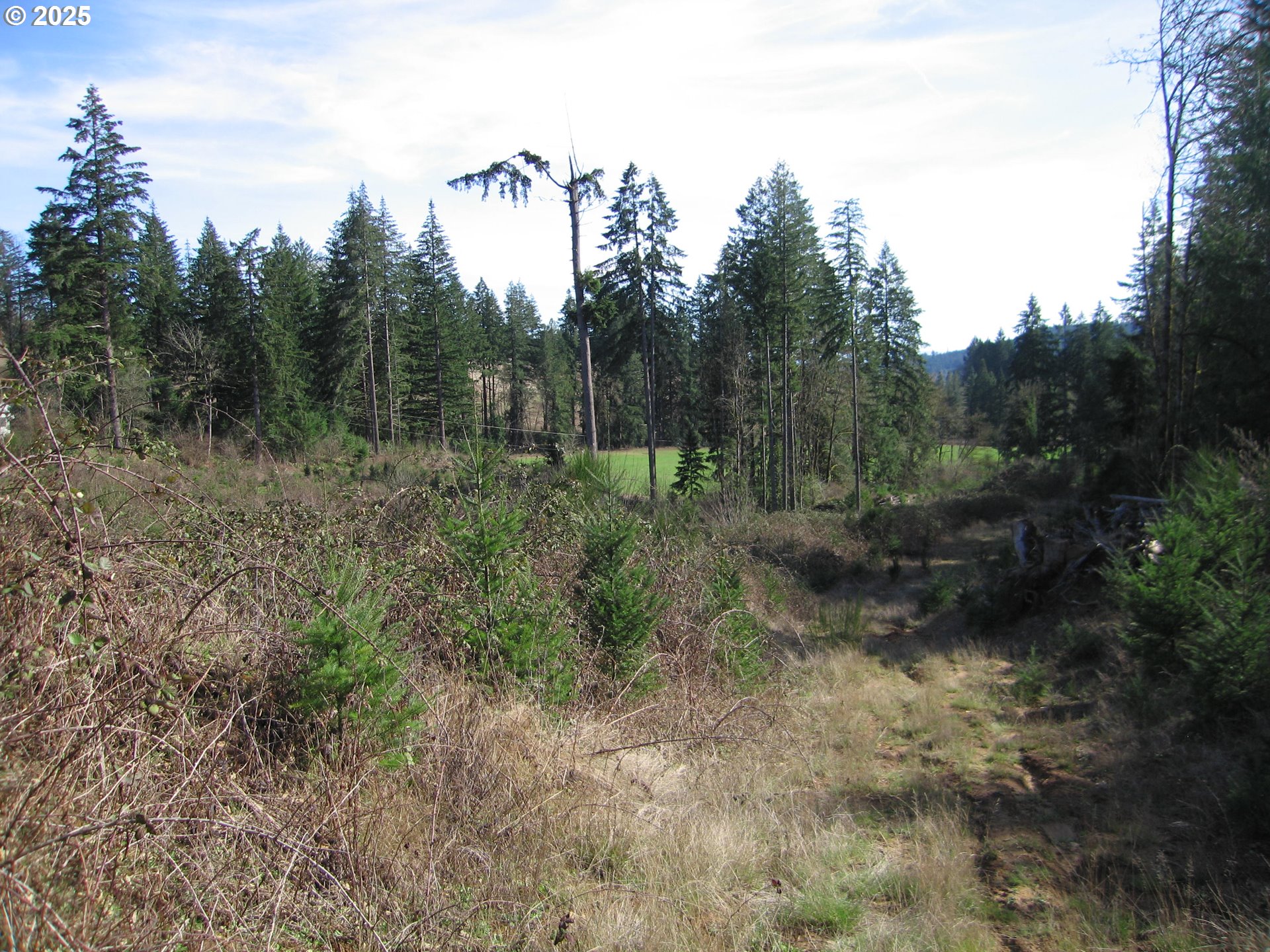 0 NW Dairy Creek RD, North Plains, OR, 97133