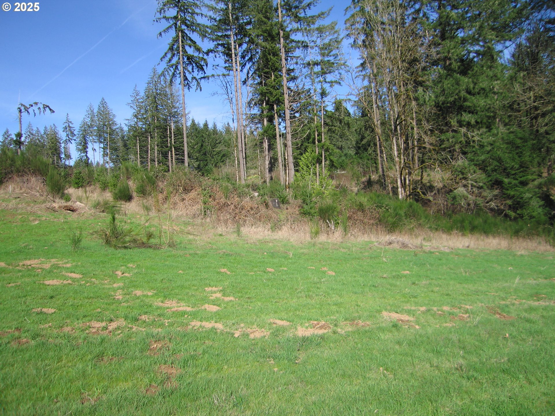 0 NW Dairy Creek RD, North Plains, OR, 97133