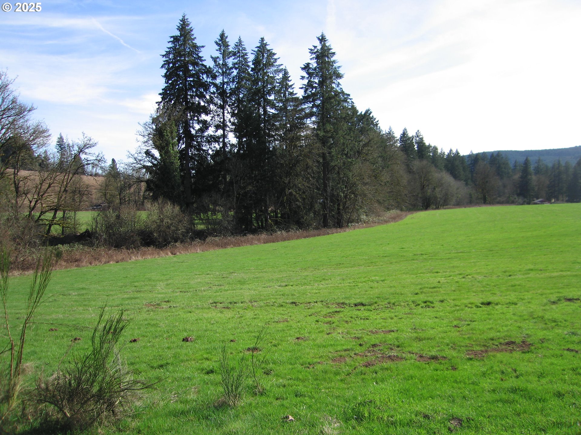 0 NW Dairy Creek RD, North Plains, OR, 97133