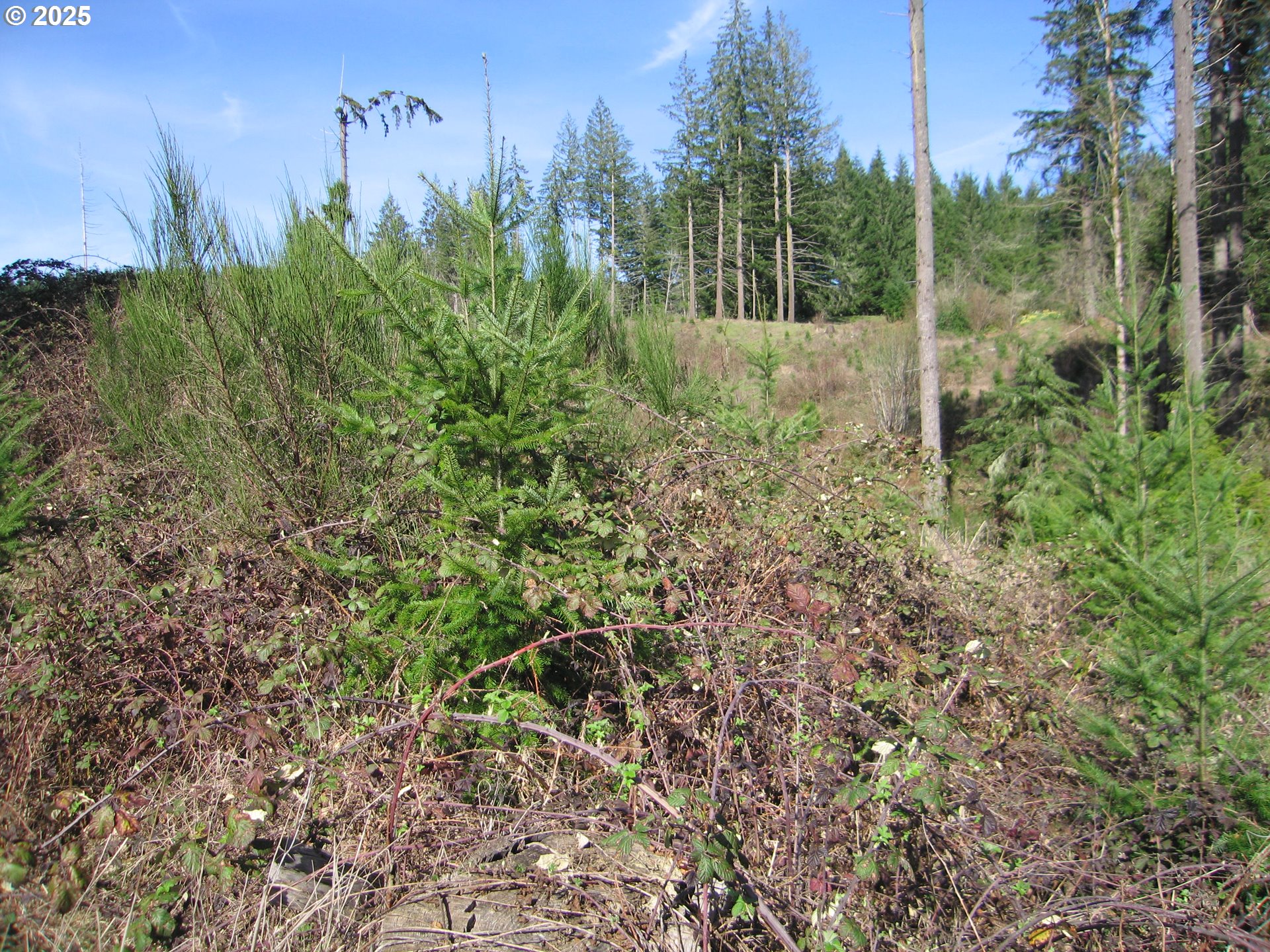 0 NW Dairy Creek RD, North Plains, OR, 97133
