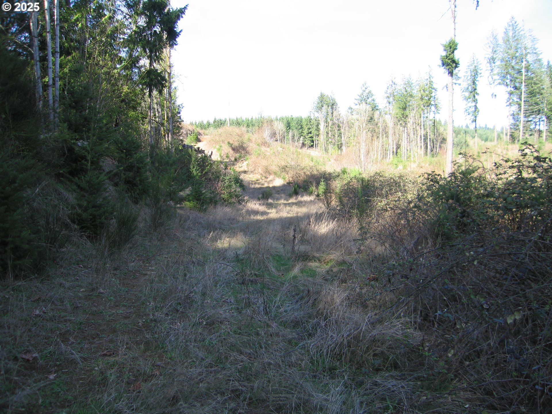 0 NW Dairy Creek RD, North Plains, OR, 97133
