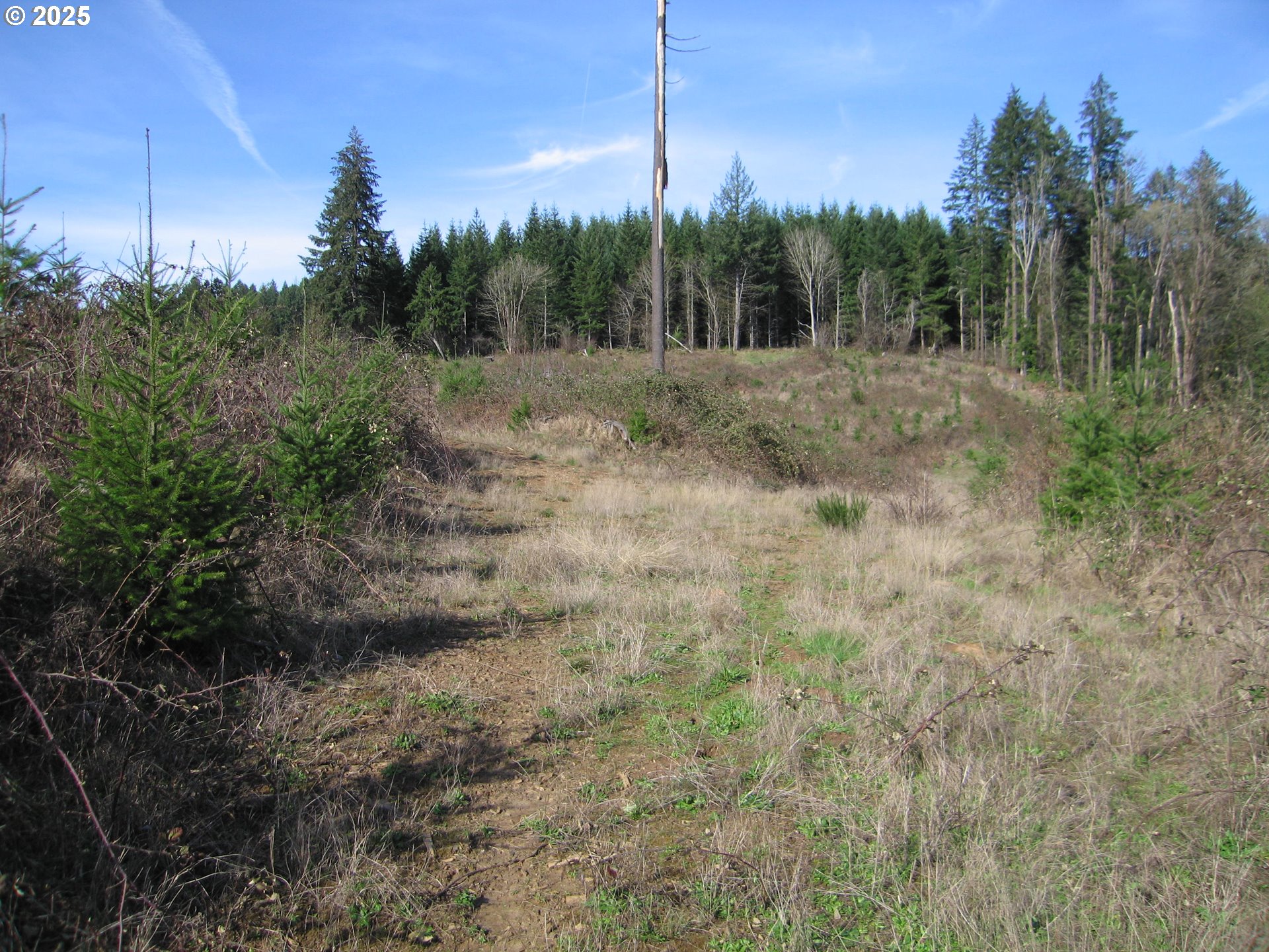 0 NW Dairy Creek RD, North Plains, OR, 97133