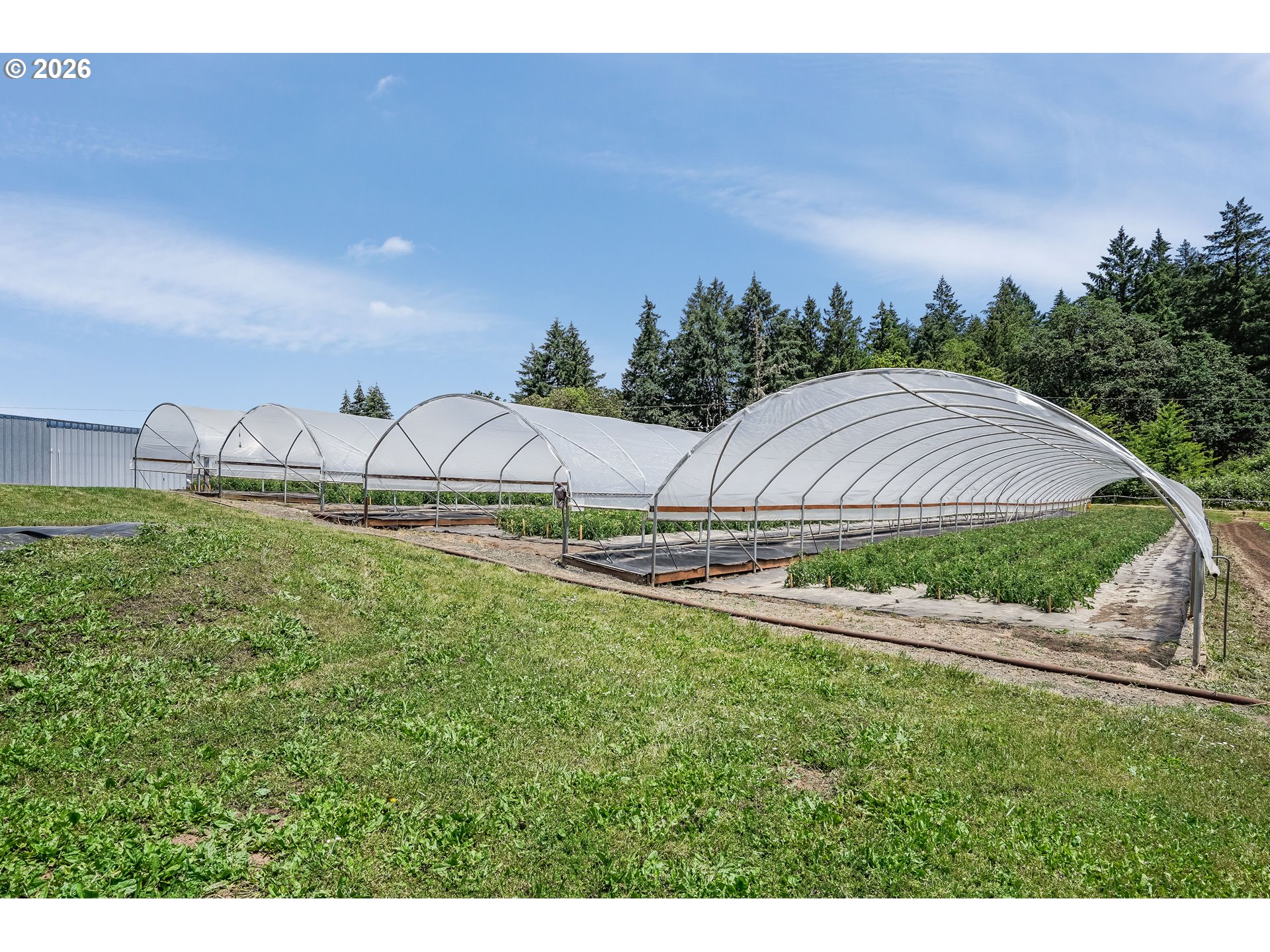 23175 NE RIDGE RD, Gaston, OR, 97119