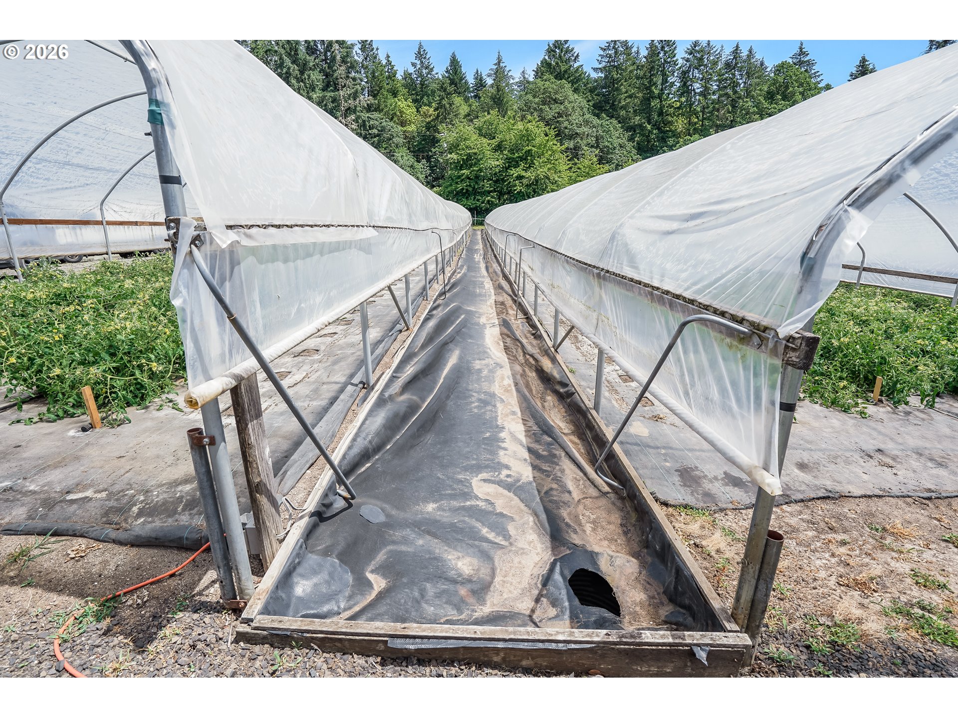 23175 NE RIDGE RD, Gaston, OR, 97119