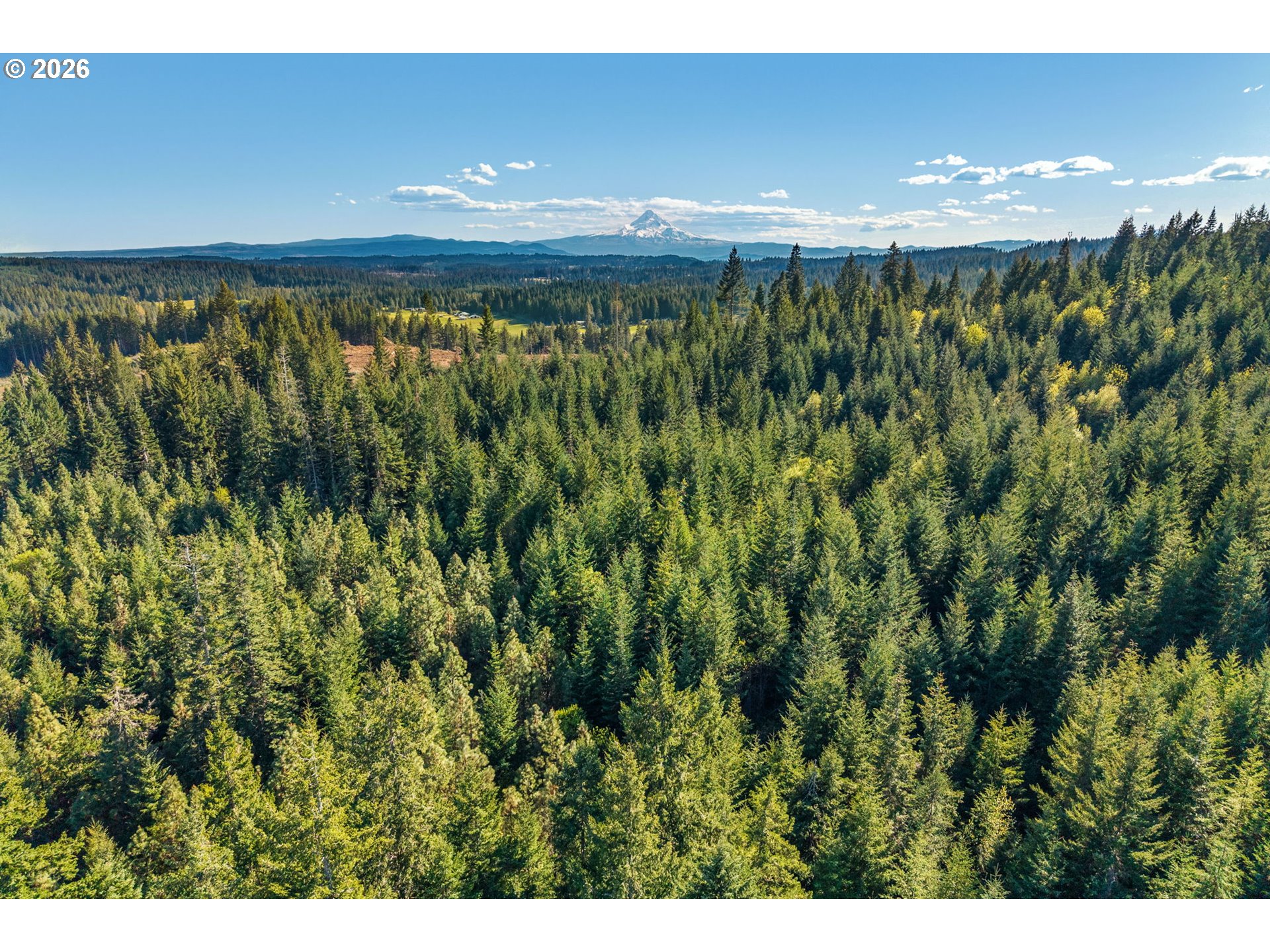 Search Homes for Sale